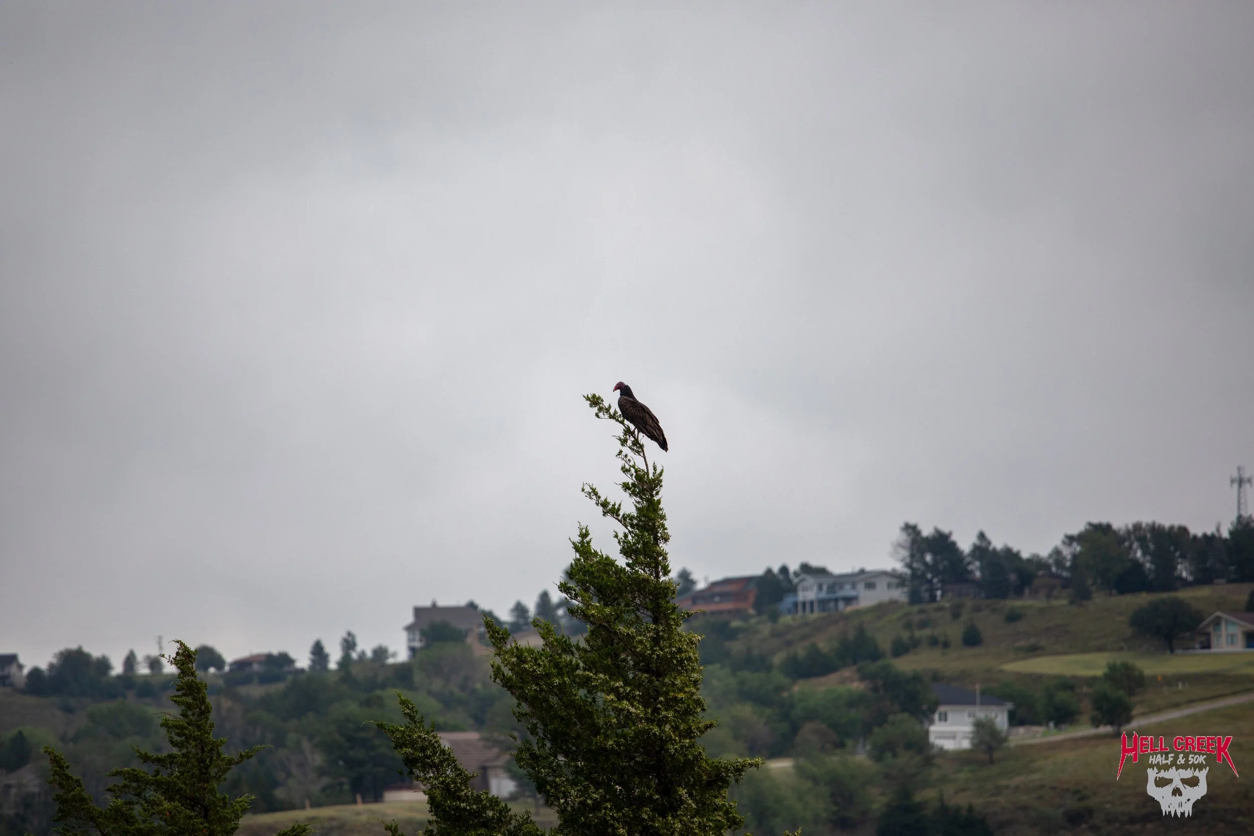 Nature_20250823_10.jpg