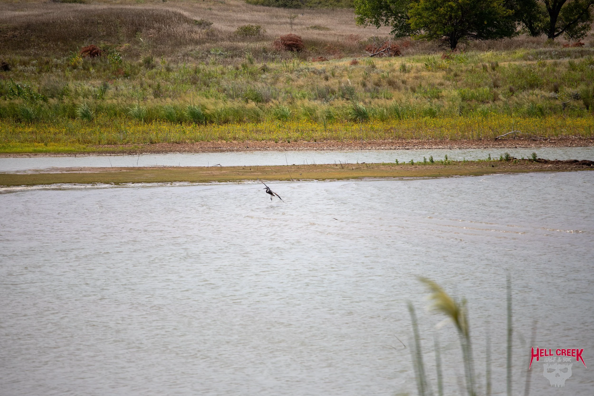 Nature_20250823_47.jpg
