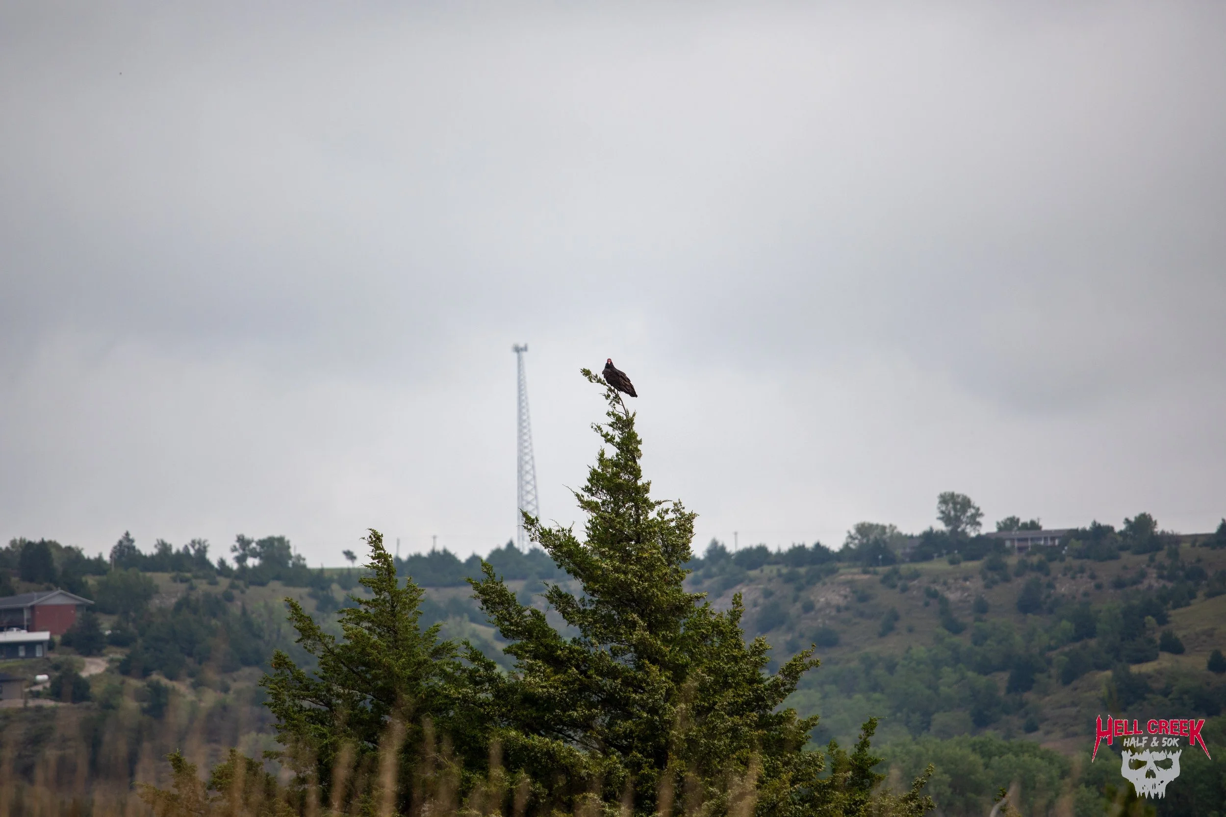 Nature_20250823_4.jpg
