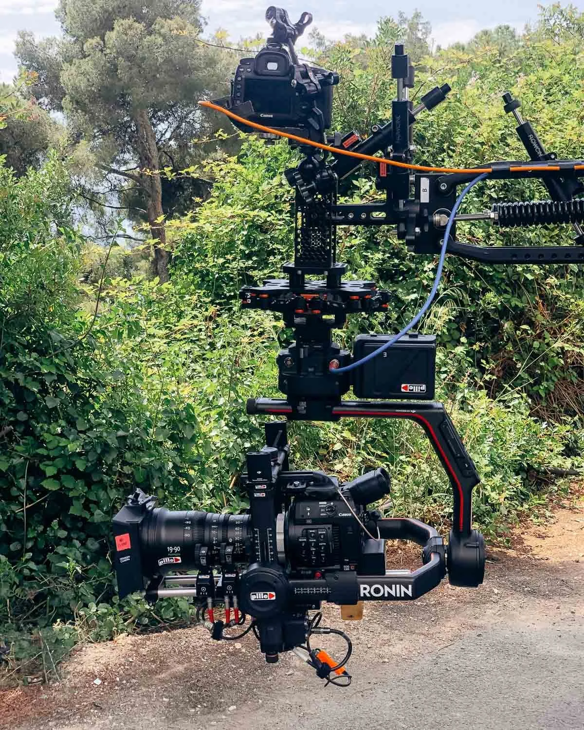 Camera mounted on a camera rig with a large lens, positioned outdoors near green bushes and trees.