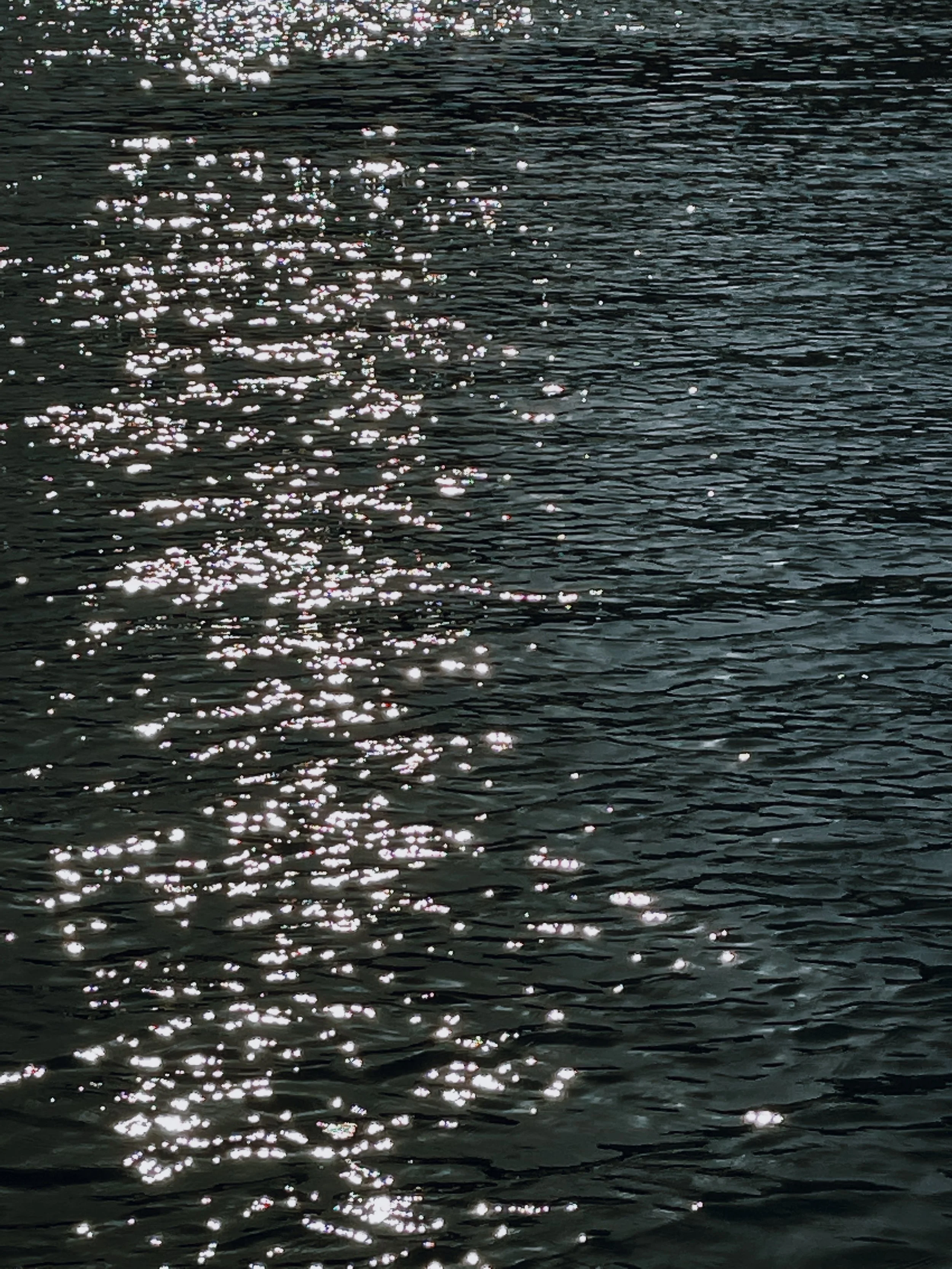 4F56844C-654C-484D-956D-3ECED7EA3921.jpeg