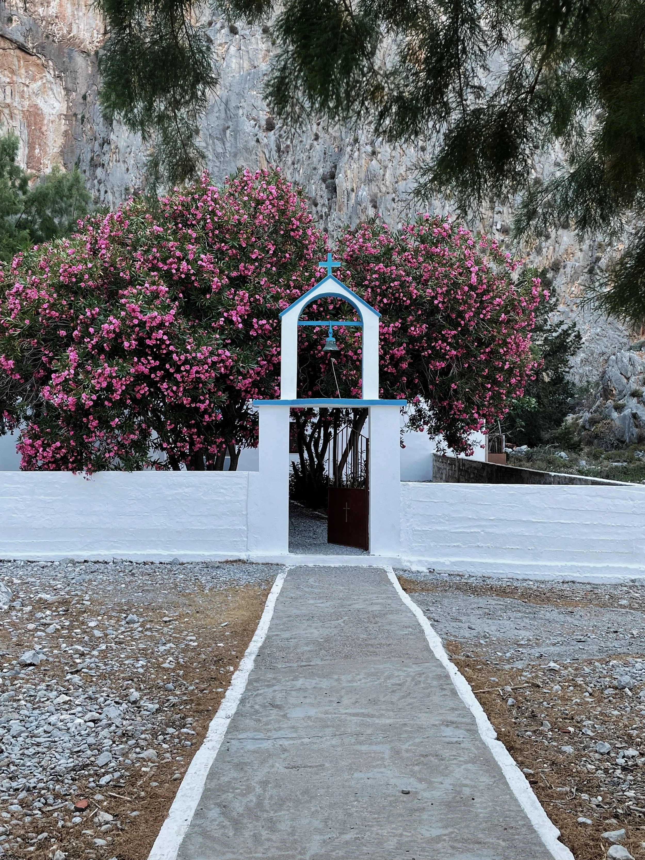 DF009F9A-2180-42AA-94FF-AC92C2E7232B.jpeg