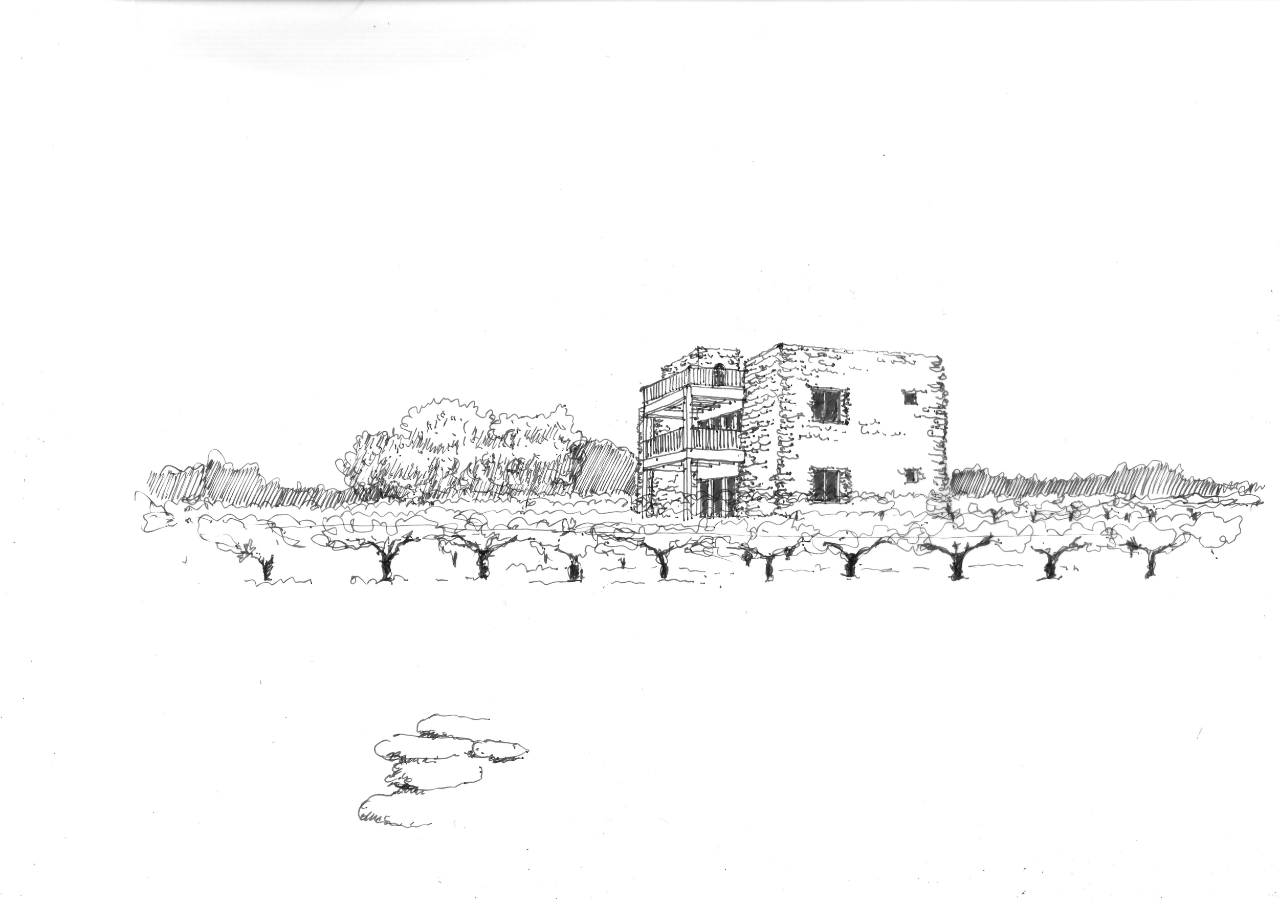 CAVE CANARELLI