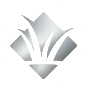 logo_silver.png