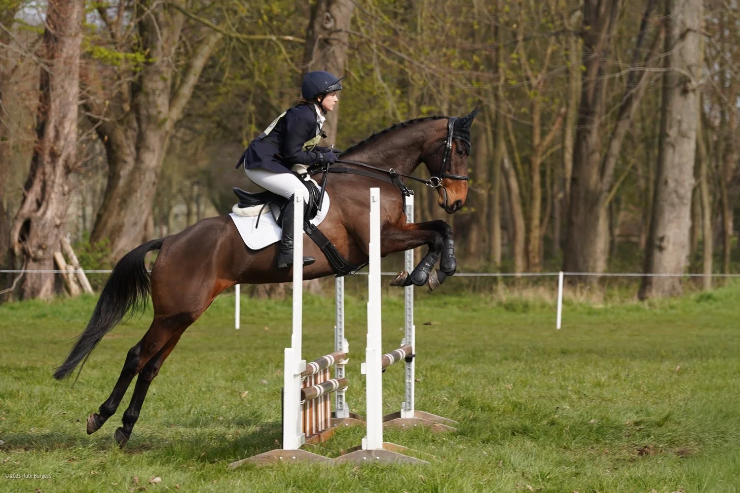 A person riding a horse jumps over a hurdle in an outdoor equestrian event, with trees in the background.