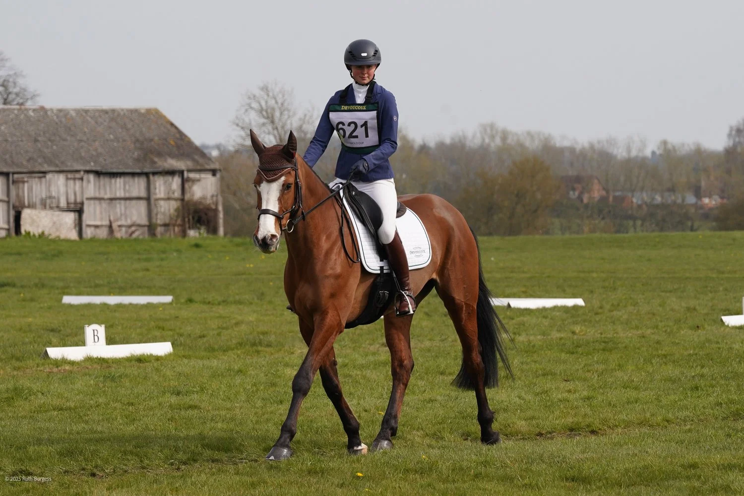 A woman riding a brown horse in a grassy field, participating in an equestrian event, wearing a navy jacket, white riding pants, helmet, and a bib numbered 621.