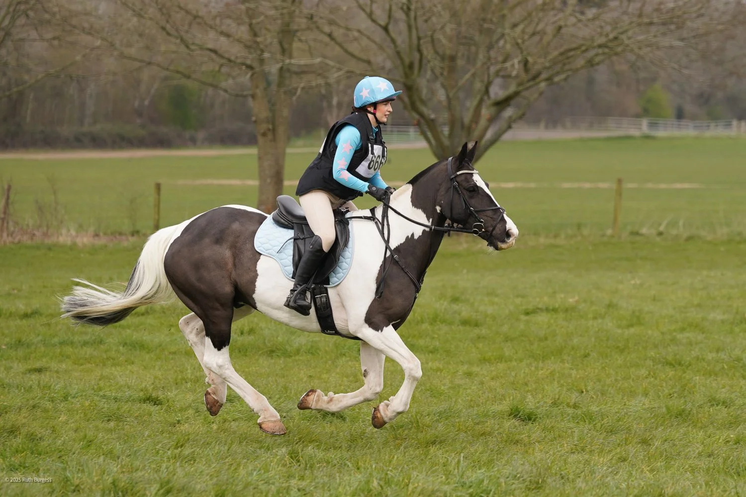 A person riding a spotted black and white horse in an open grassy field, wearing a helmet and riding gear, with trees in the background.