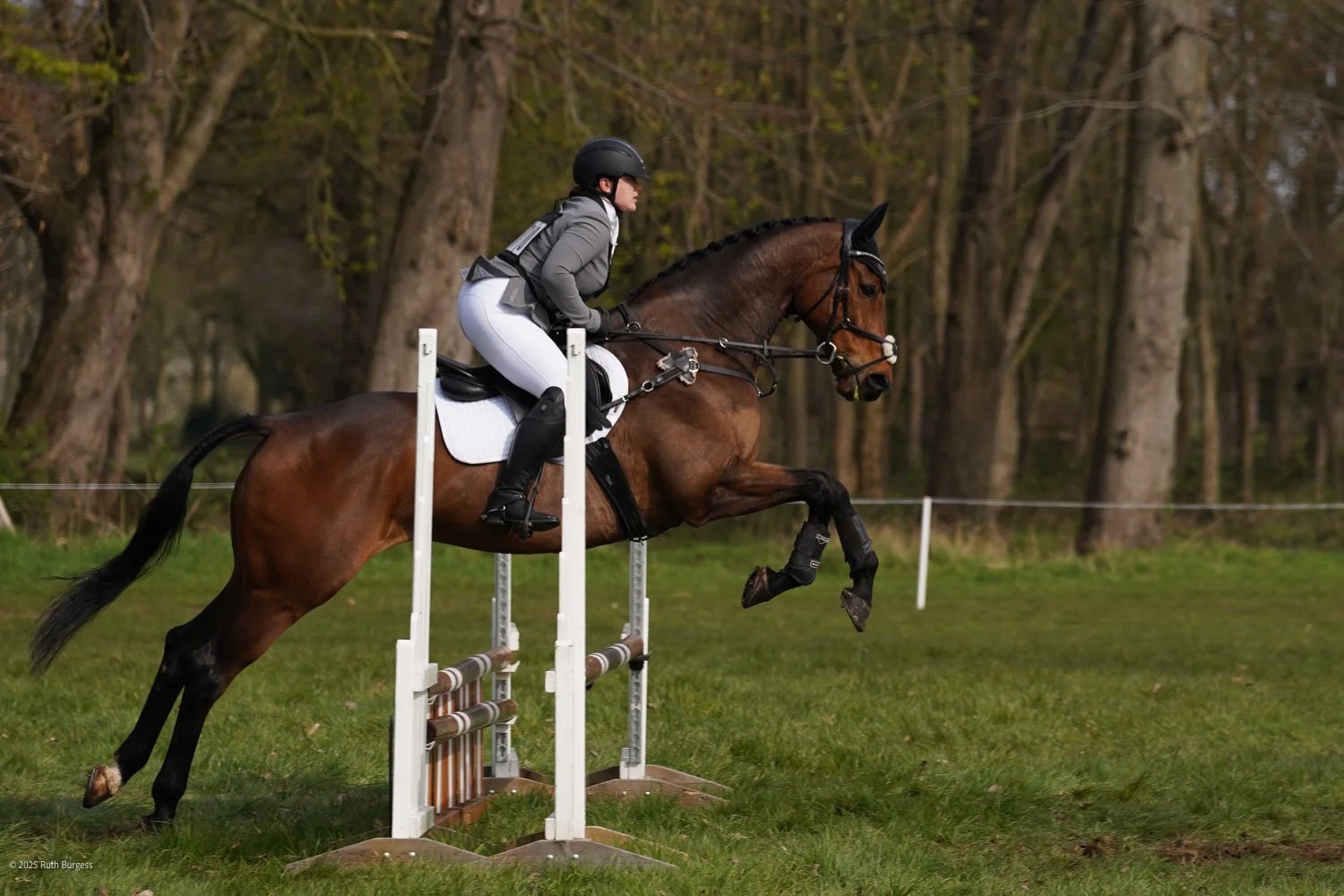 A rider in gray equestrian attire and a black helmet riding a brown horse jumps over a hurdle in an outdoor setting with trees in the background.