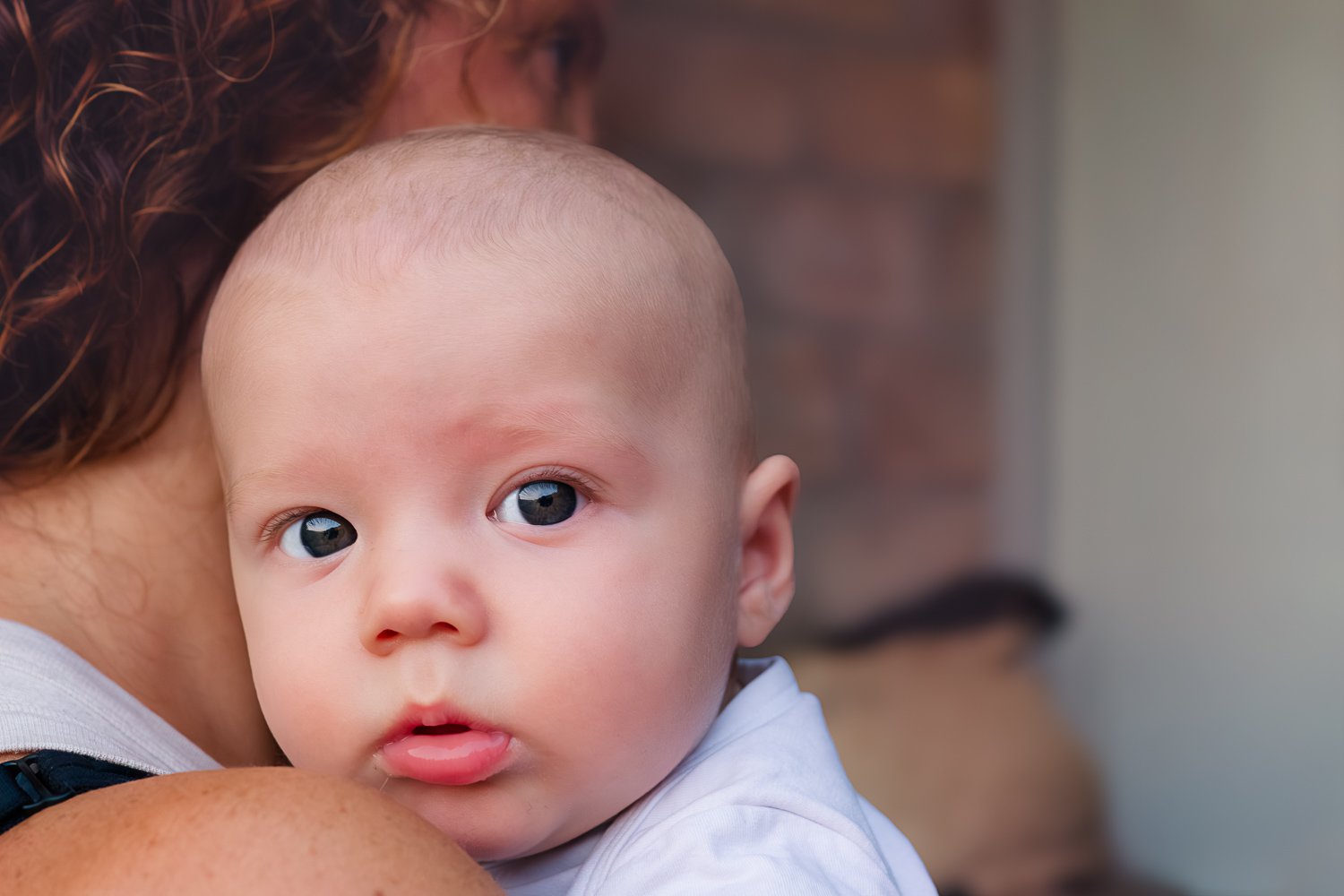 Close-up of a young child's face being held by an adult, with the child's large, blue eyes and pink lips visible, and a blurred brick wall in the background.