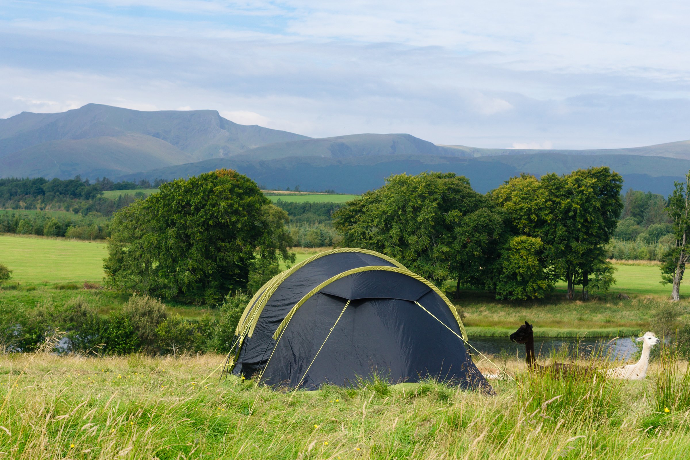 A camping tent set up in a grassy field surrounded by trees with mountains in the background under a partly cloudy sky.
