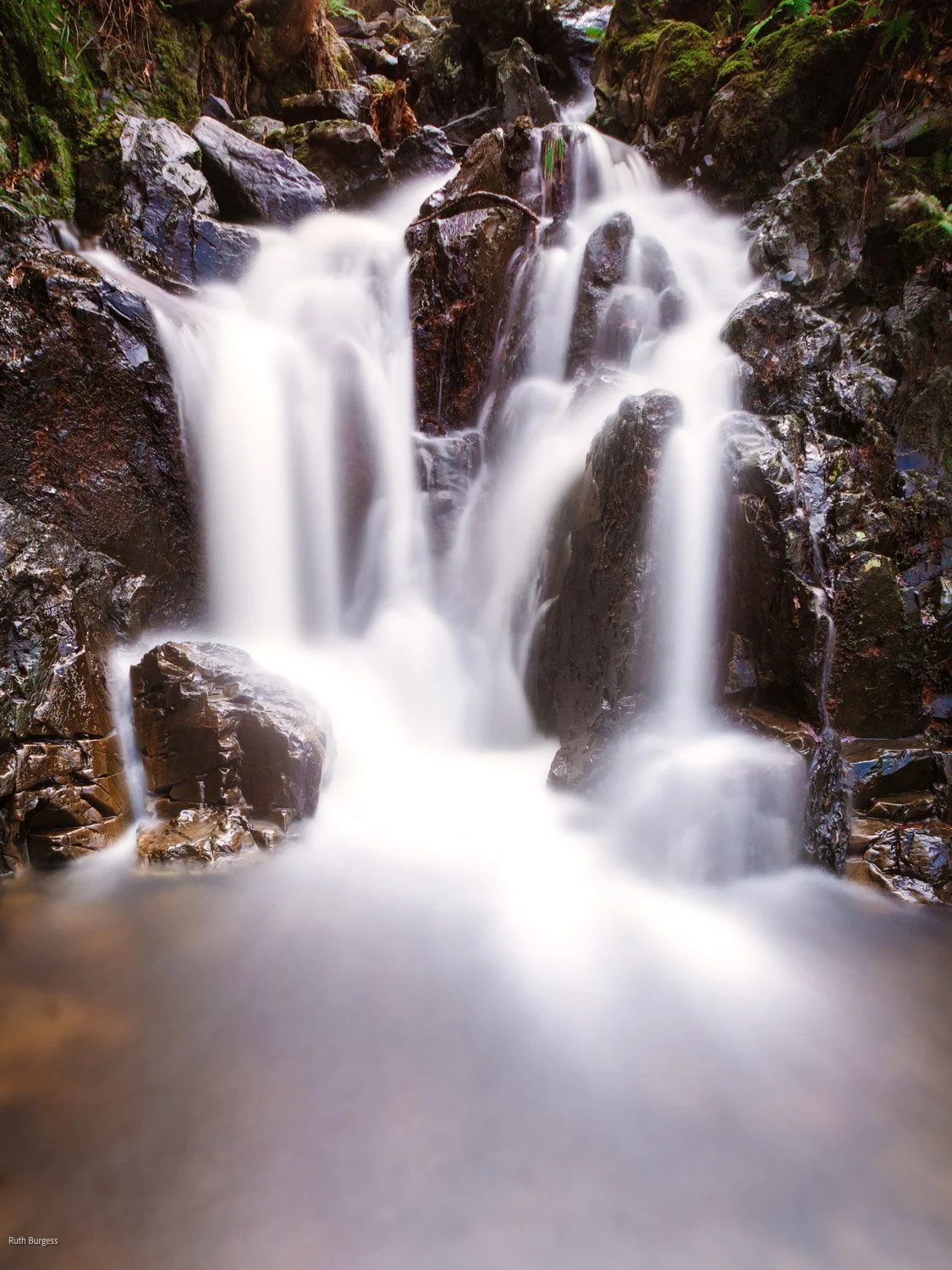 A small waterfall flowing over dark rocks in a forested area.