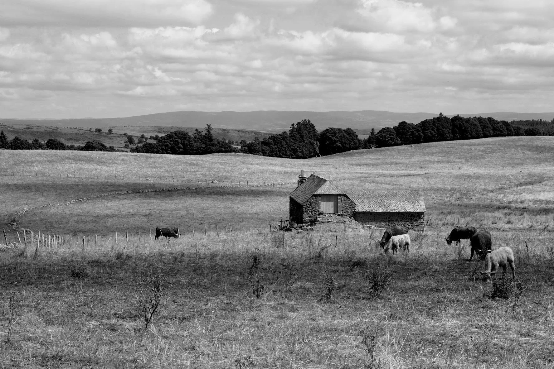 317FE4D5-8227-40FE-A64A-2E3E2CDF6F4C-5991-0000045348F54DD9 (1).jpg