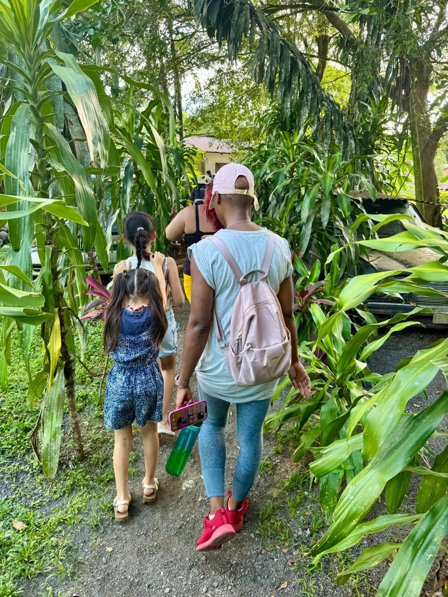 People walking on a narrow dirt path through a lush cornfield, with trees and greenery on either side, and a building with a red roof in the background.