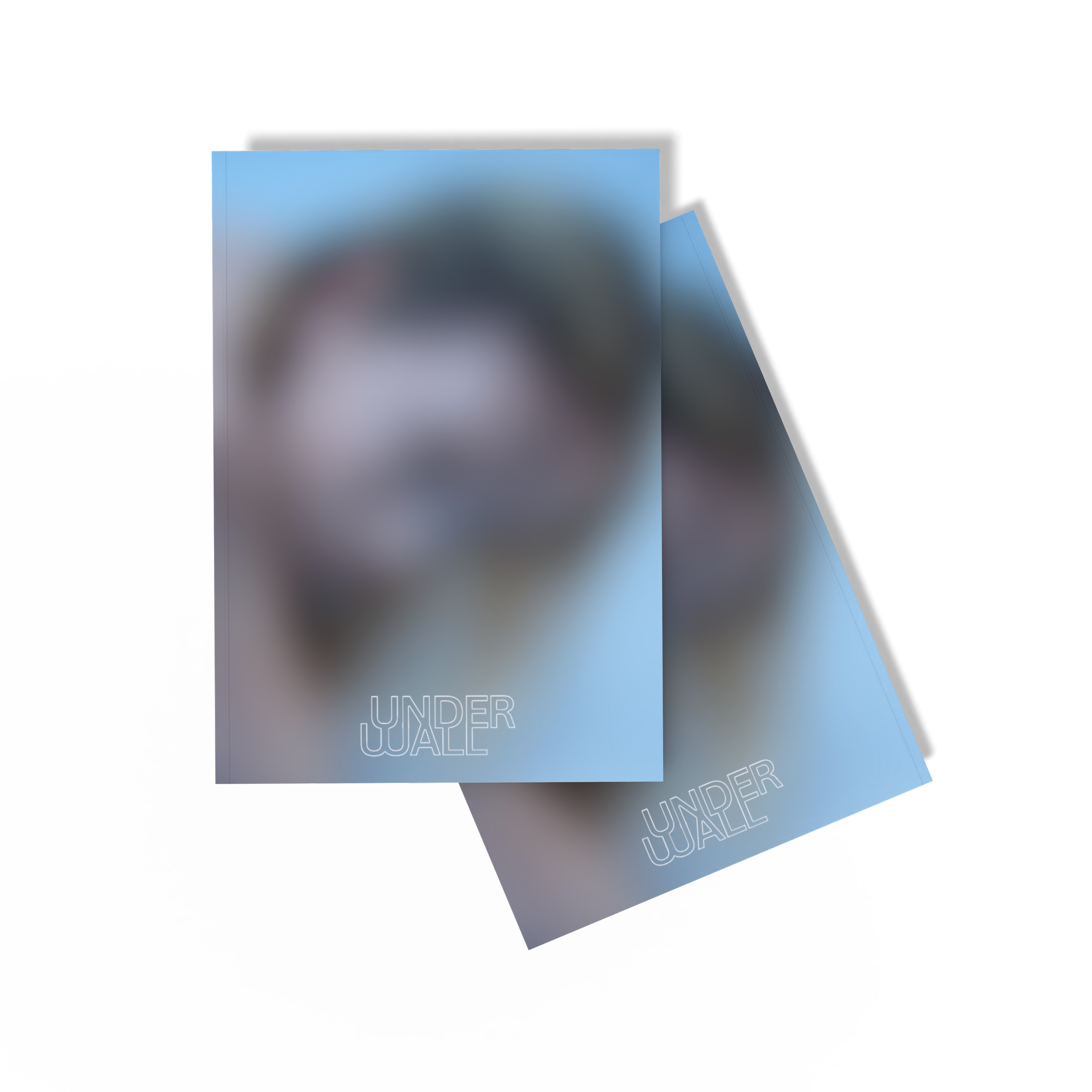 Artistic Imperfection                   (PRE-ORDER)