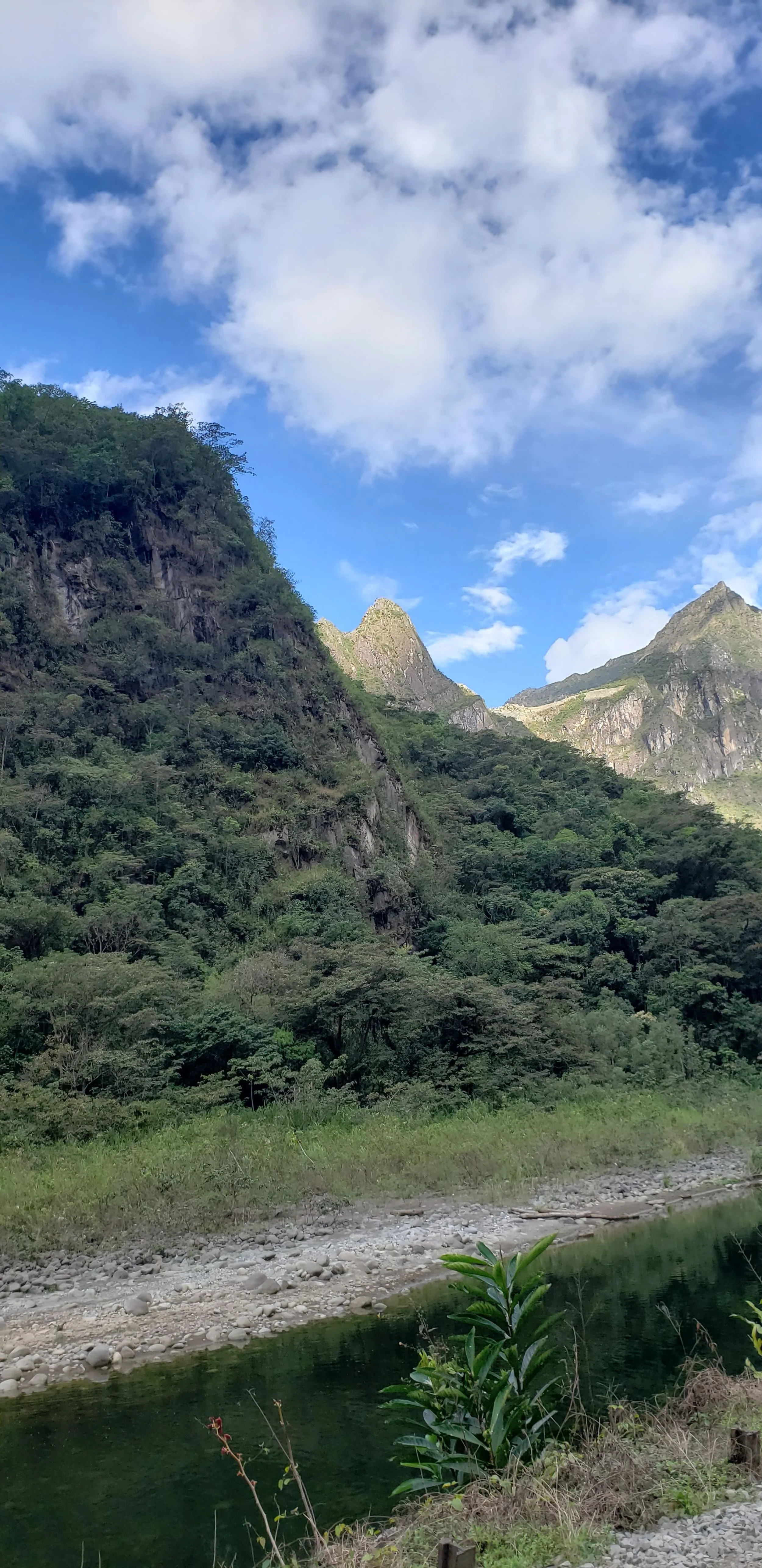 20190718_151511.jpg