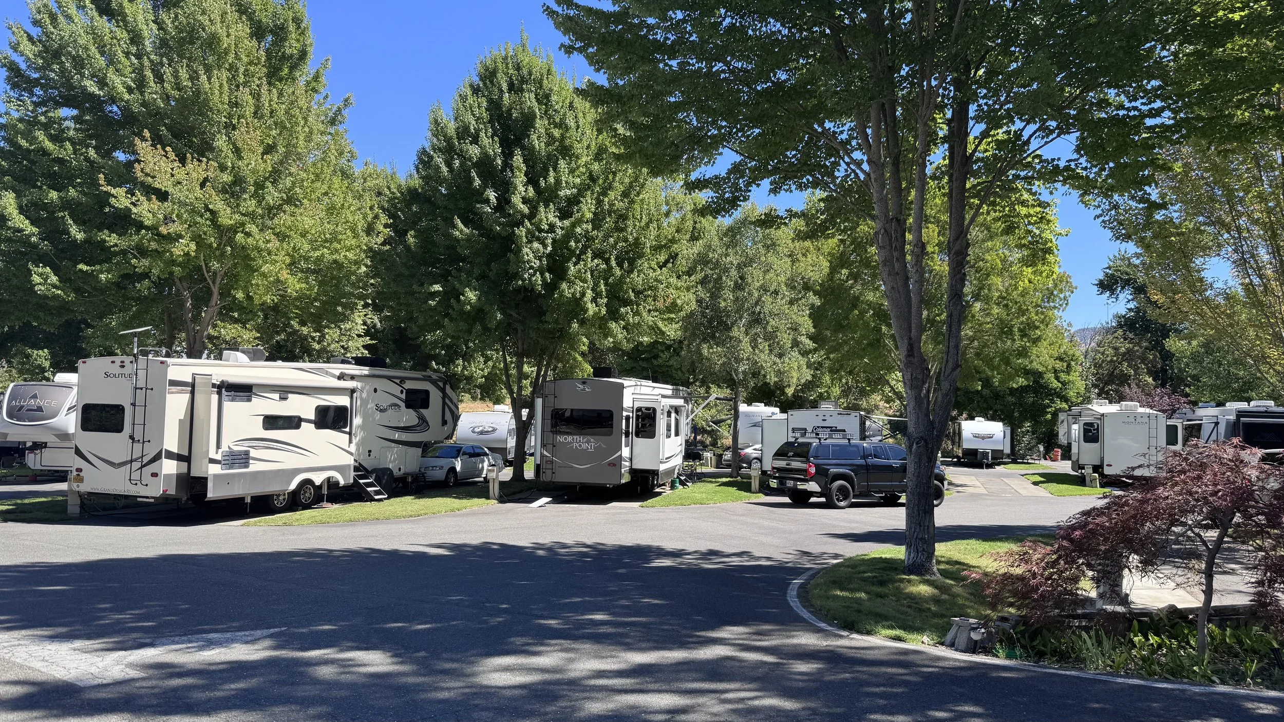 Shaded RV park sites with cement pads