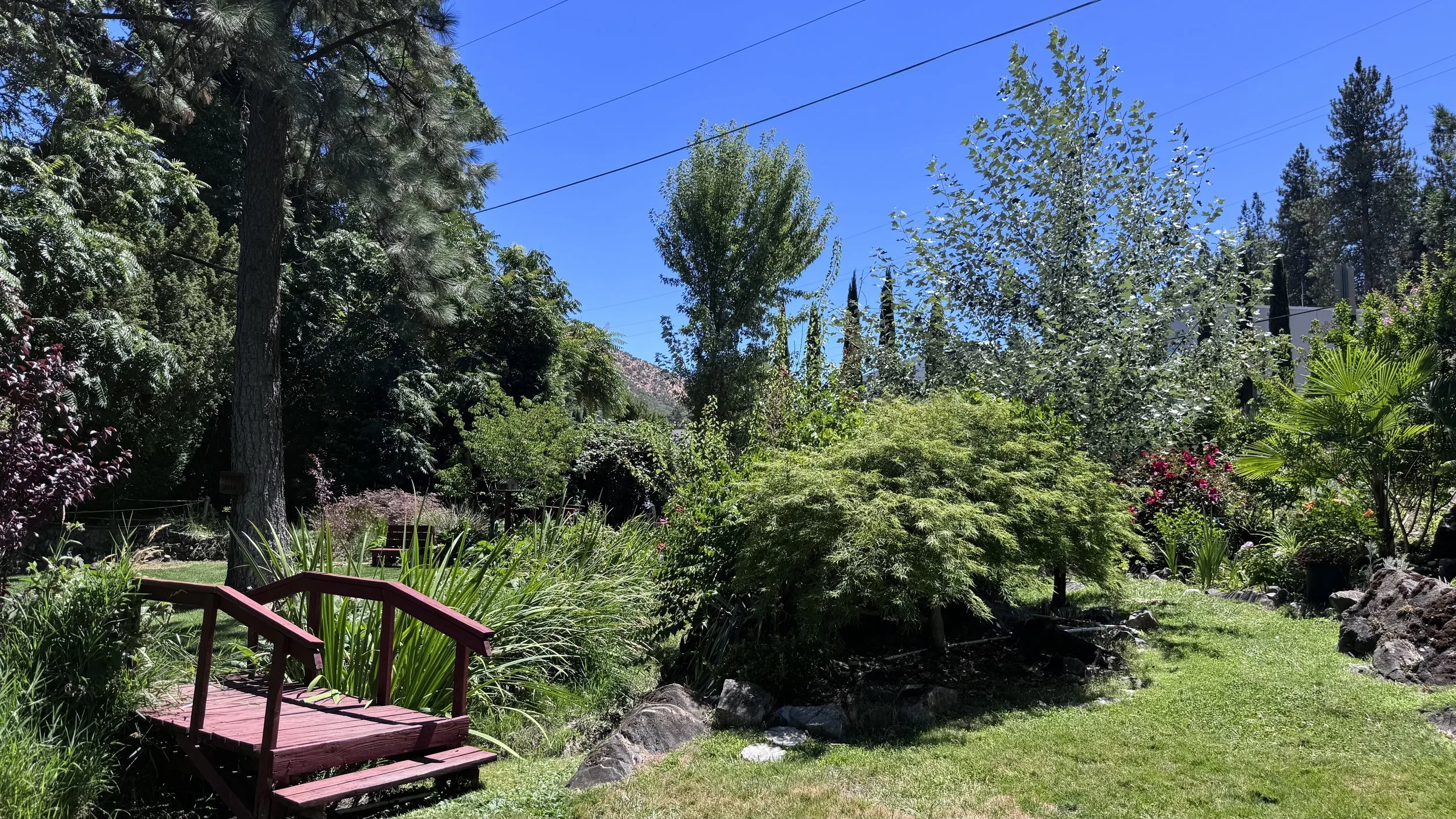 Lush, landscaped area in RV park