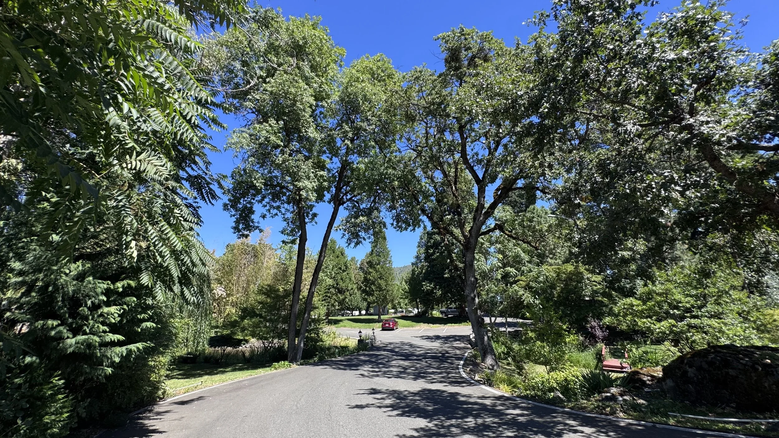 Shaded entryway to RV park