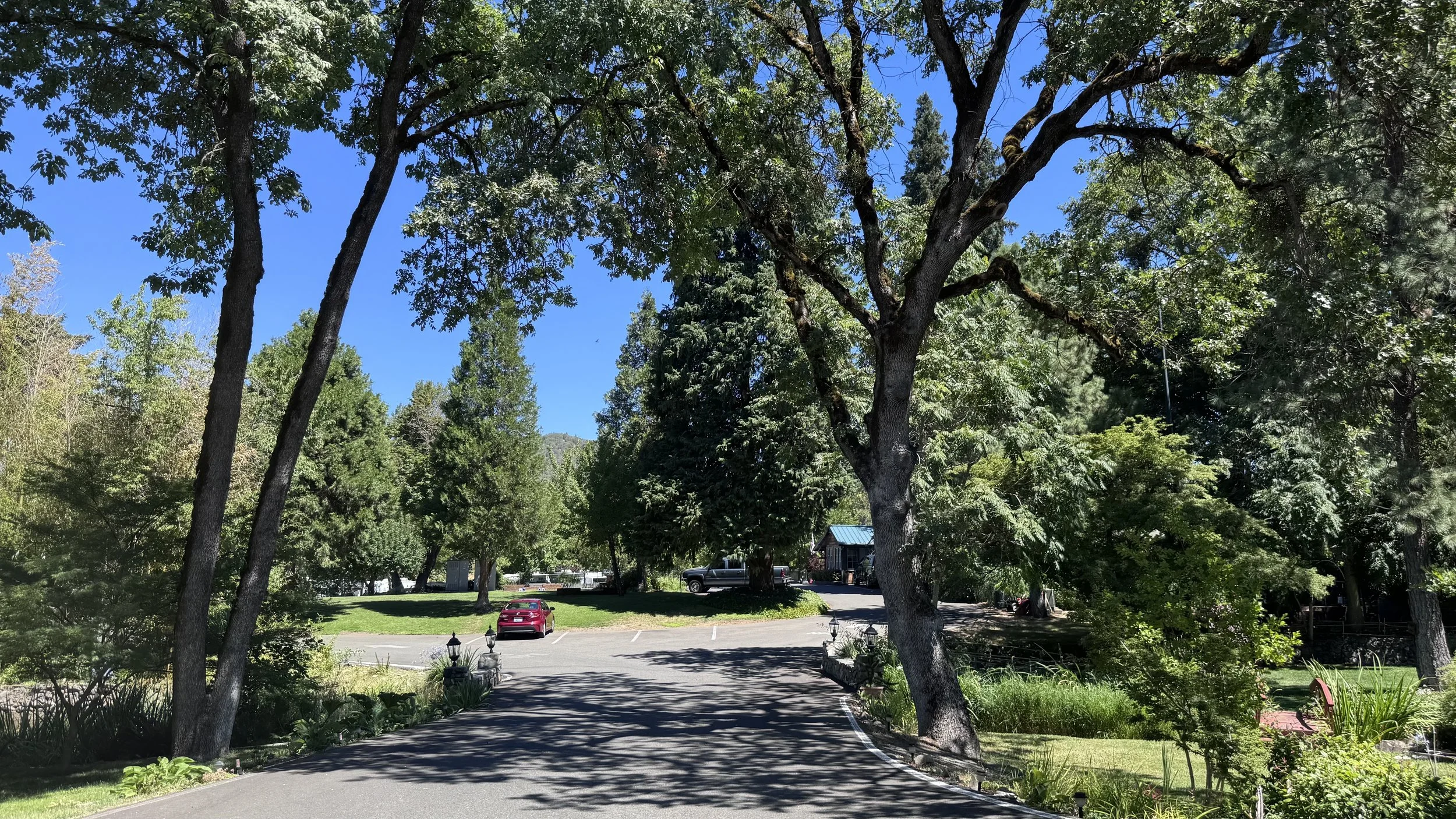 RV park driveway with shaded trees