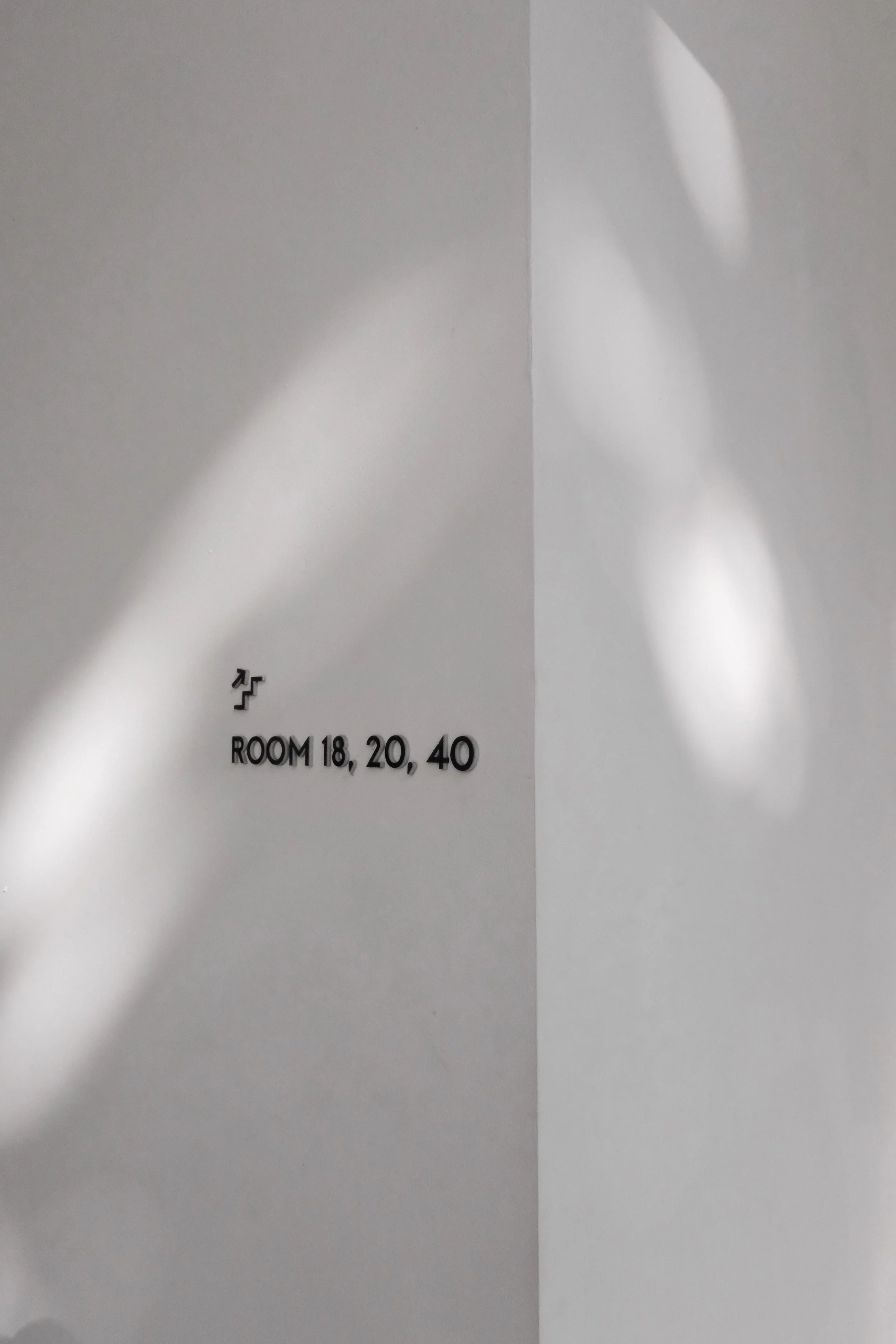 DSCF5137.jpg