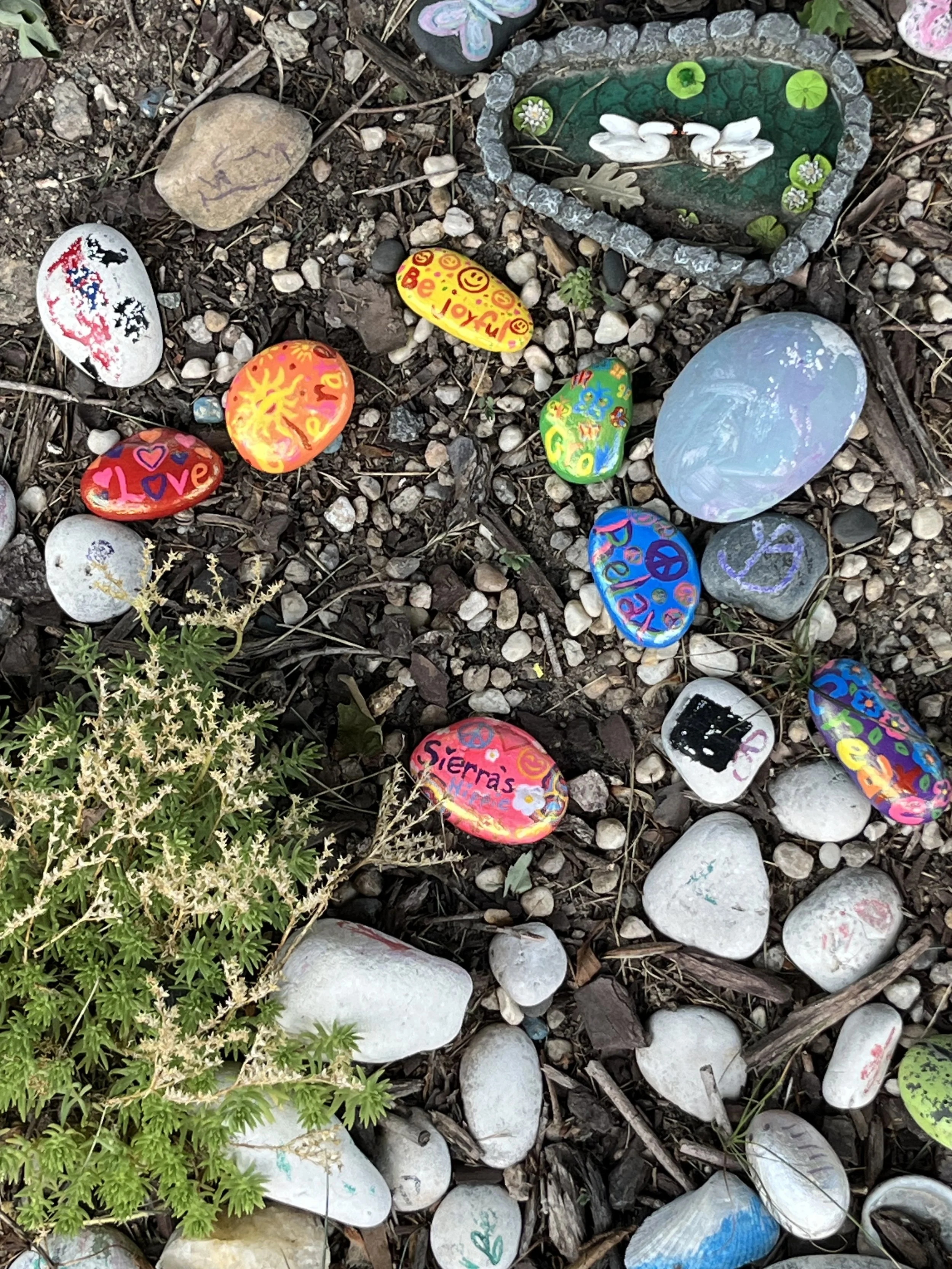 Rainbow Rocks
