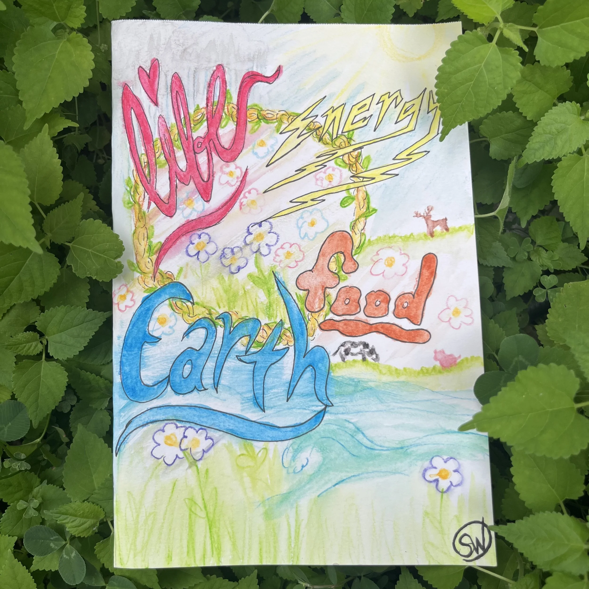 Book Art: The Story of More (Adapted for Young Adults)