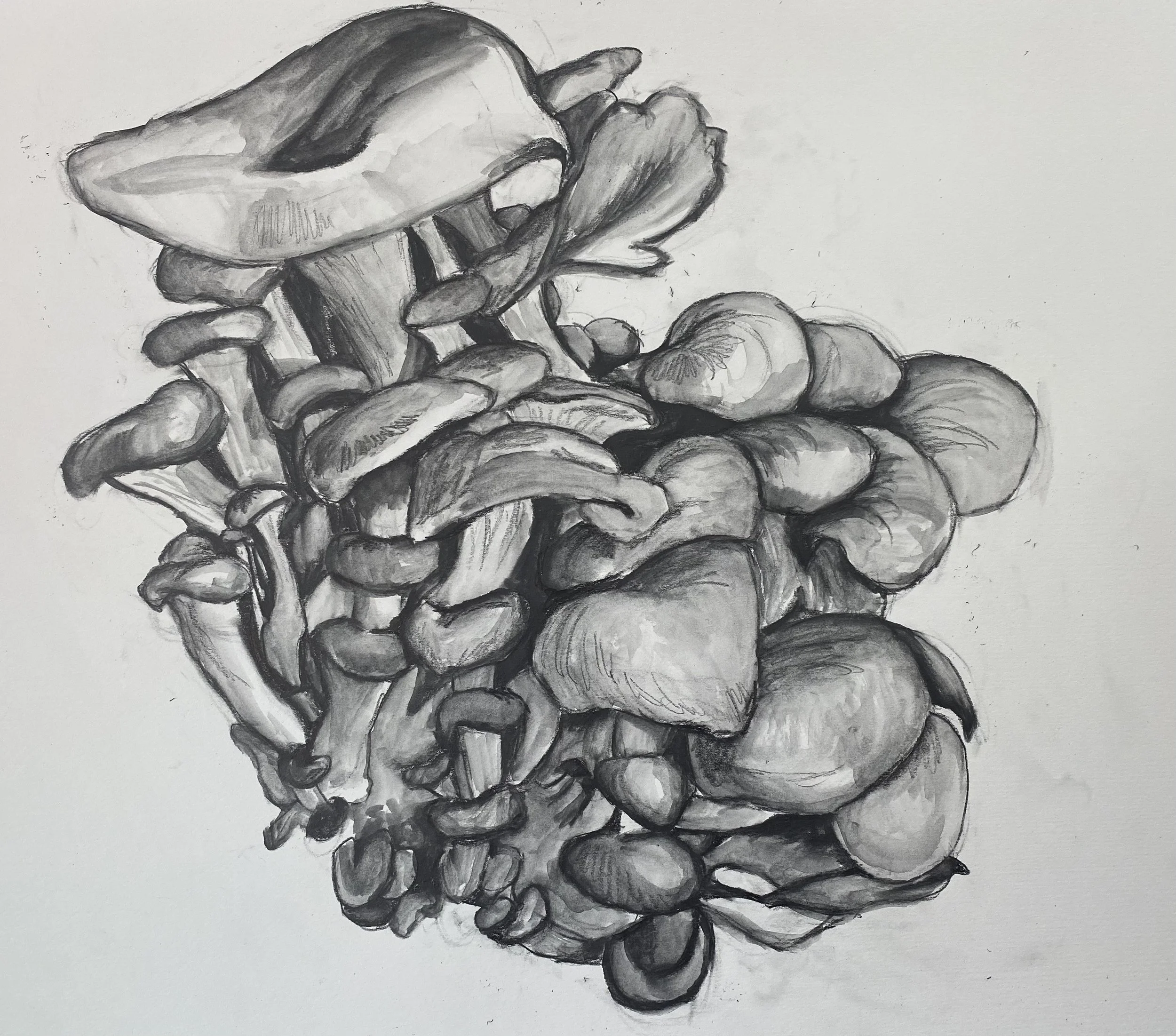 Mushrooms_22_4.jpg