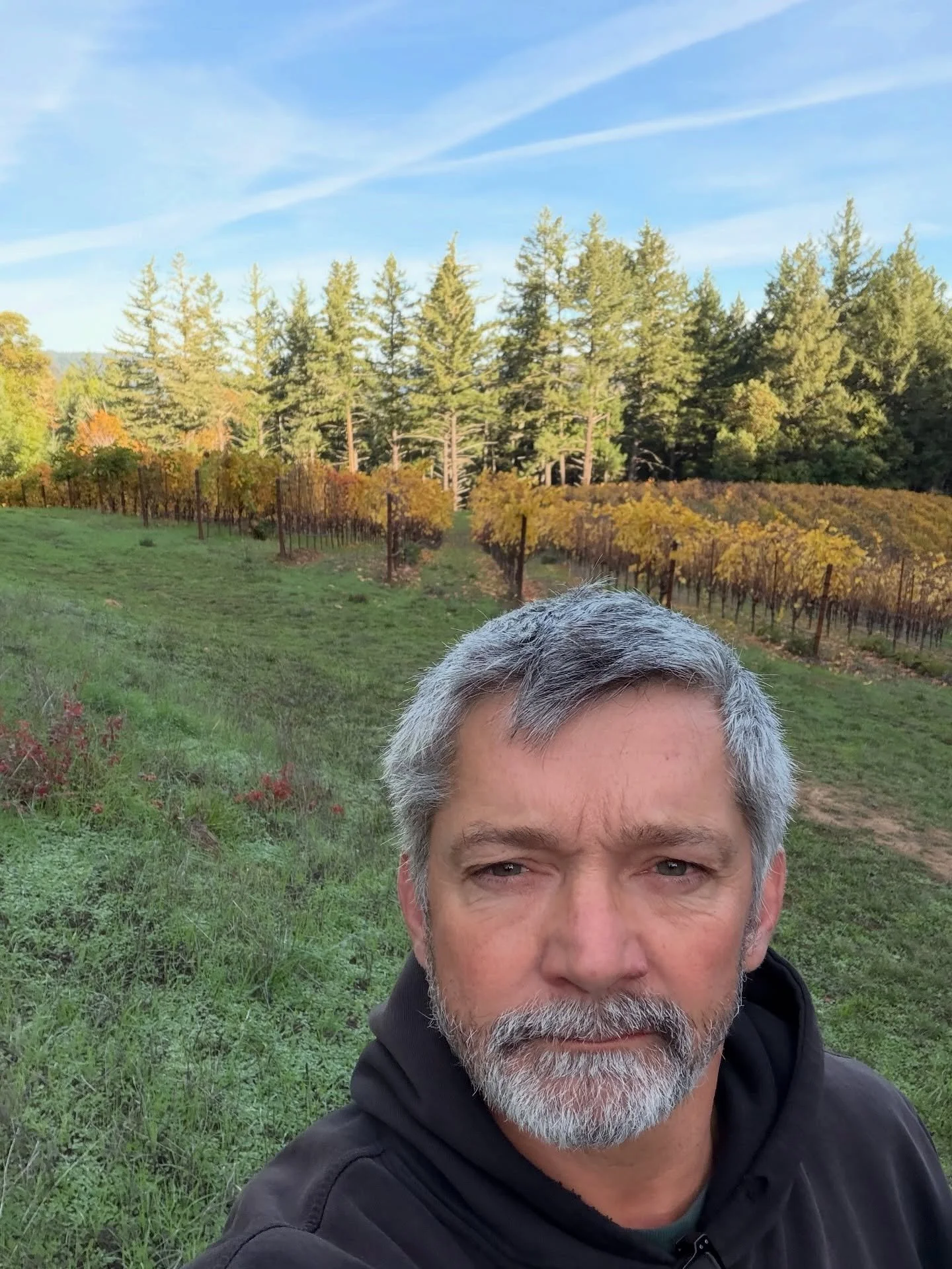 Crisp autumn days in Anderson Valley. Ready to the rains!  Roma&rsquo;s vineyard pictured here. At 1800 ft this vineyard goes dormant later than the valley floor. Time for the vines to conserve energy and nutrients for next year&rsquo;s growing seaso