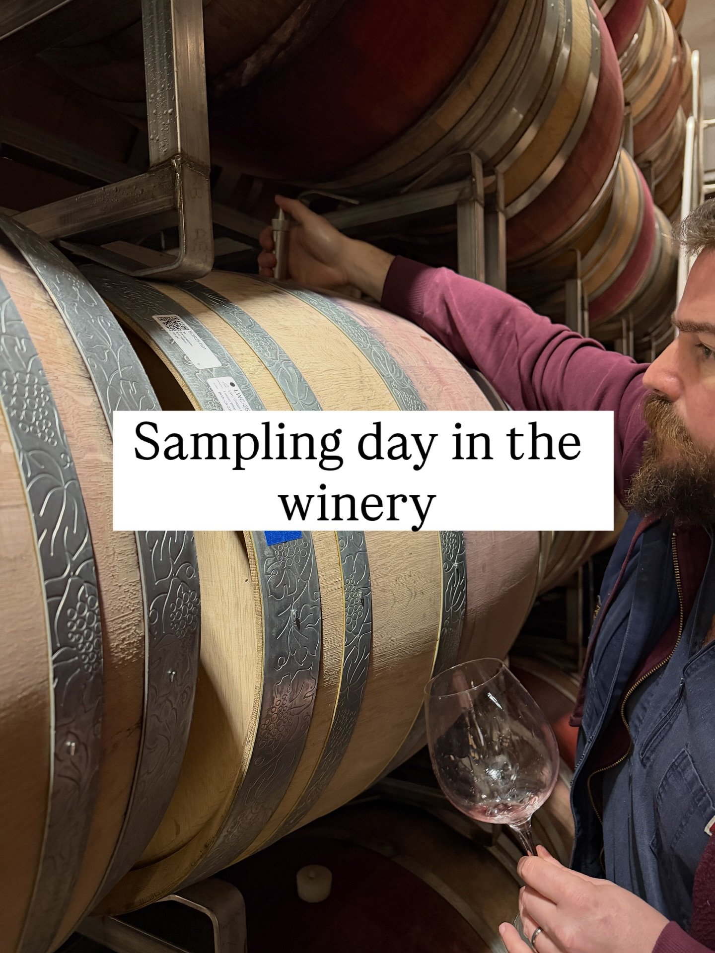 Sampling the &lsquo;24 and &lsquo;25 vintages with G.W., Black Oak Ridge winemaker extraordinaire. The 2024 wines are soooooo nice.  I think these might be the best wines yet.  GW has got it dialed in and the 2024 growing season in Anderson Valley wa