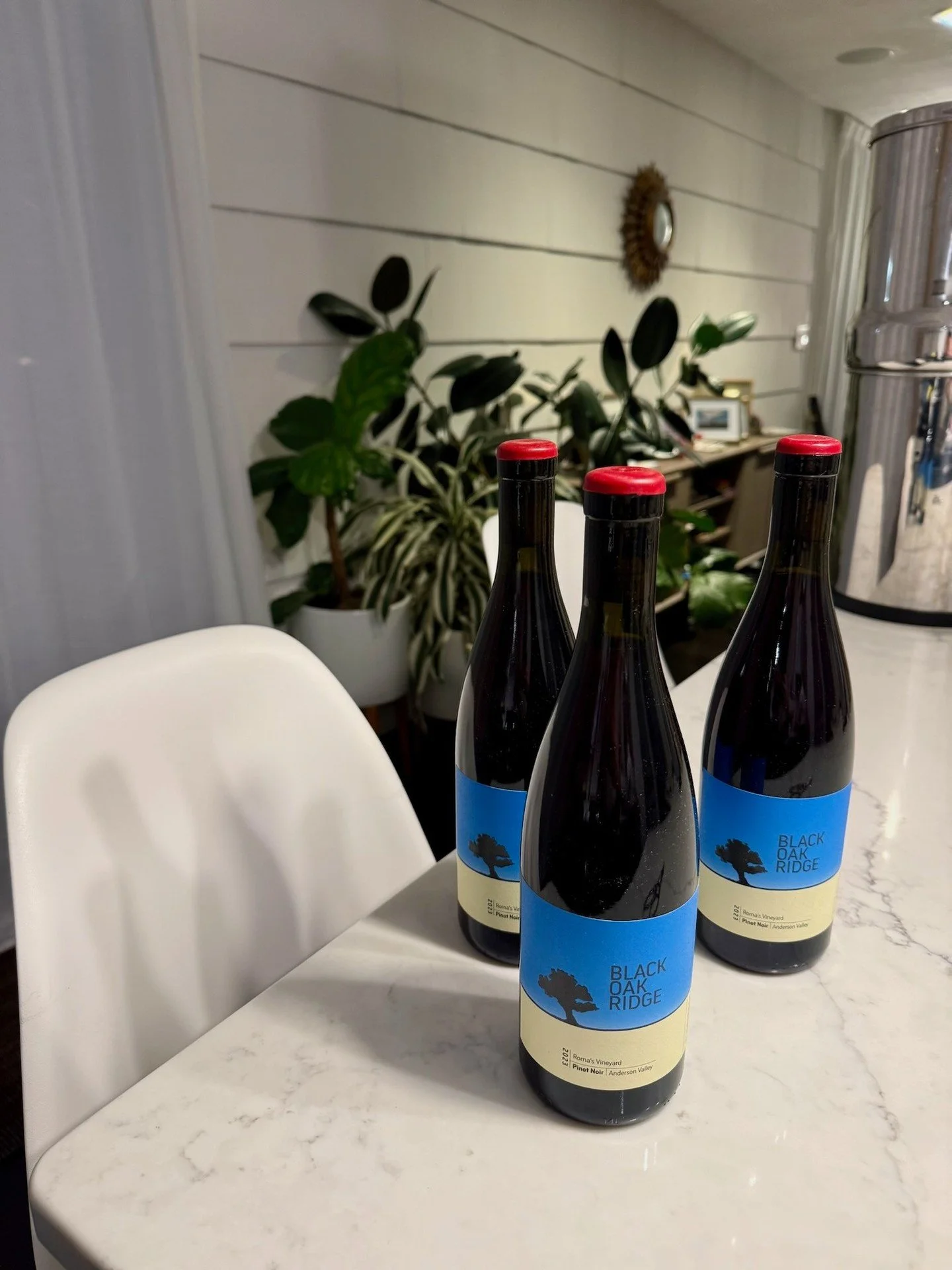 Weekend gatherings call for good food, great company, and a few bottles worth sharing.⁠
⁠
Our Roma&rsquo;s Vineyard Pinot Noir brings the beauty of high-elevation Anderson Valley to the table. ⁠
⁠
Elegant, expressive, and made for lingering conversat