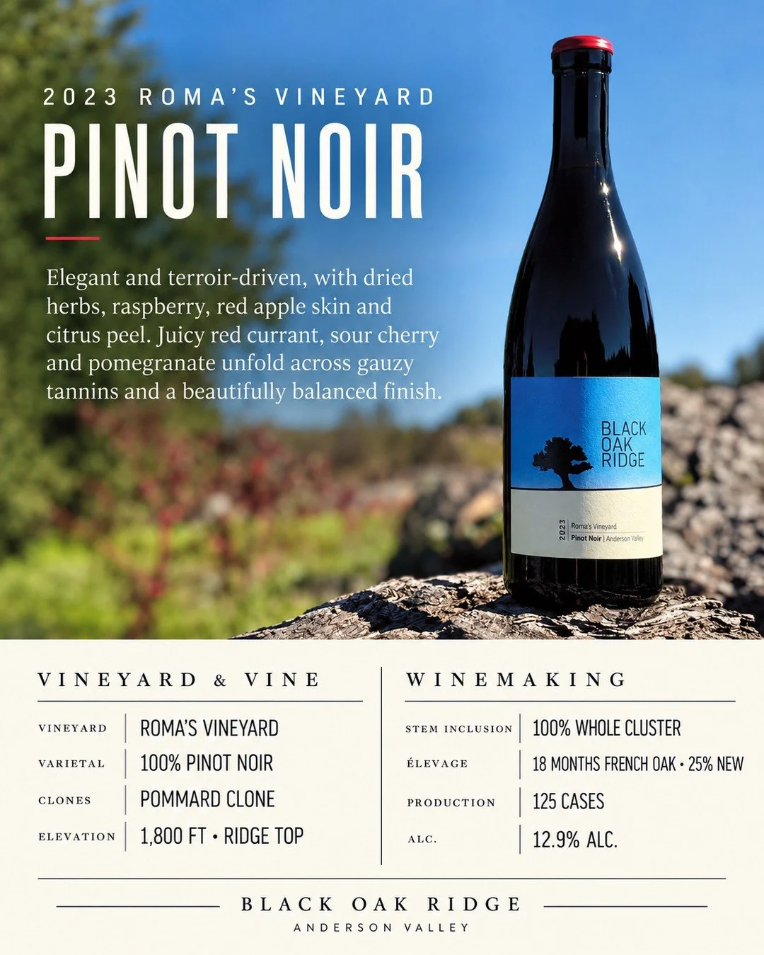Elegant and unmistakably site-driven, this Pinot Noir captures the character of its high-elevation origins. Light to medium ruby with garnet highlights, it opens with aromas of raspberry, dried herbs, red apple skin, and citrus peel.⁠
⁠
The palate is