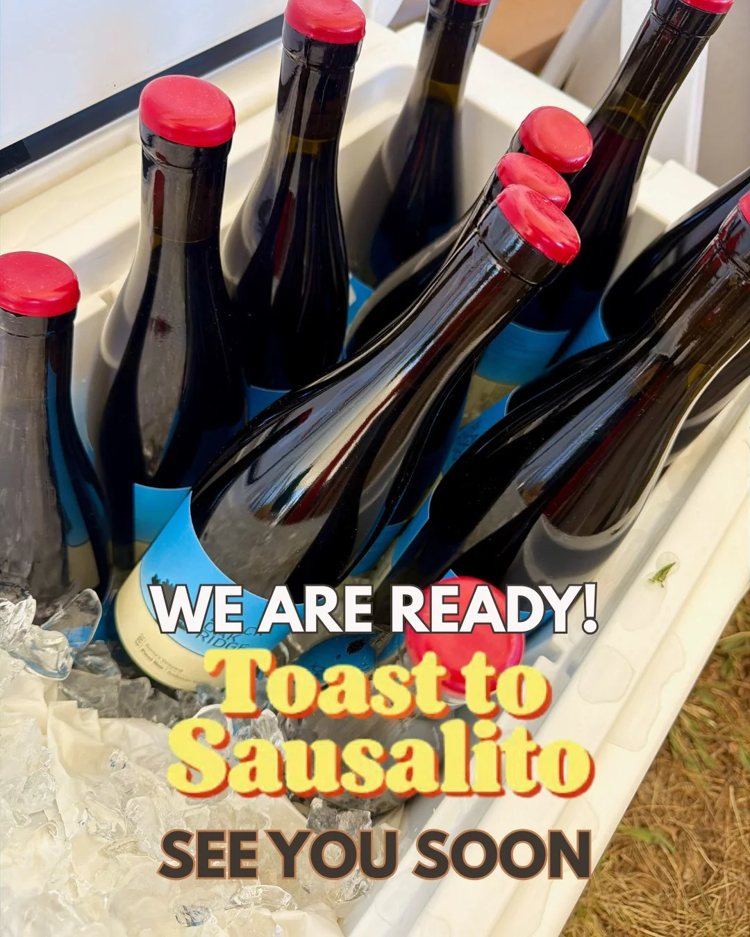 The Toast to Sausalito is officially underway, and it couldn't be more beautiful today.!⁠
⁠
Join us for a taste of our small-lot, terroir-driven Anderson Valley Pinot Noir, crafted from premier high-elevation, cool-climate, sustainably farmed vineyar