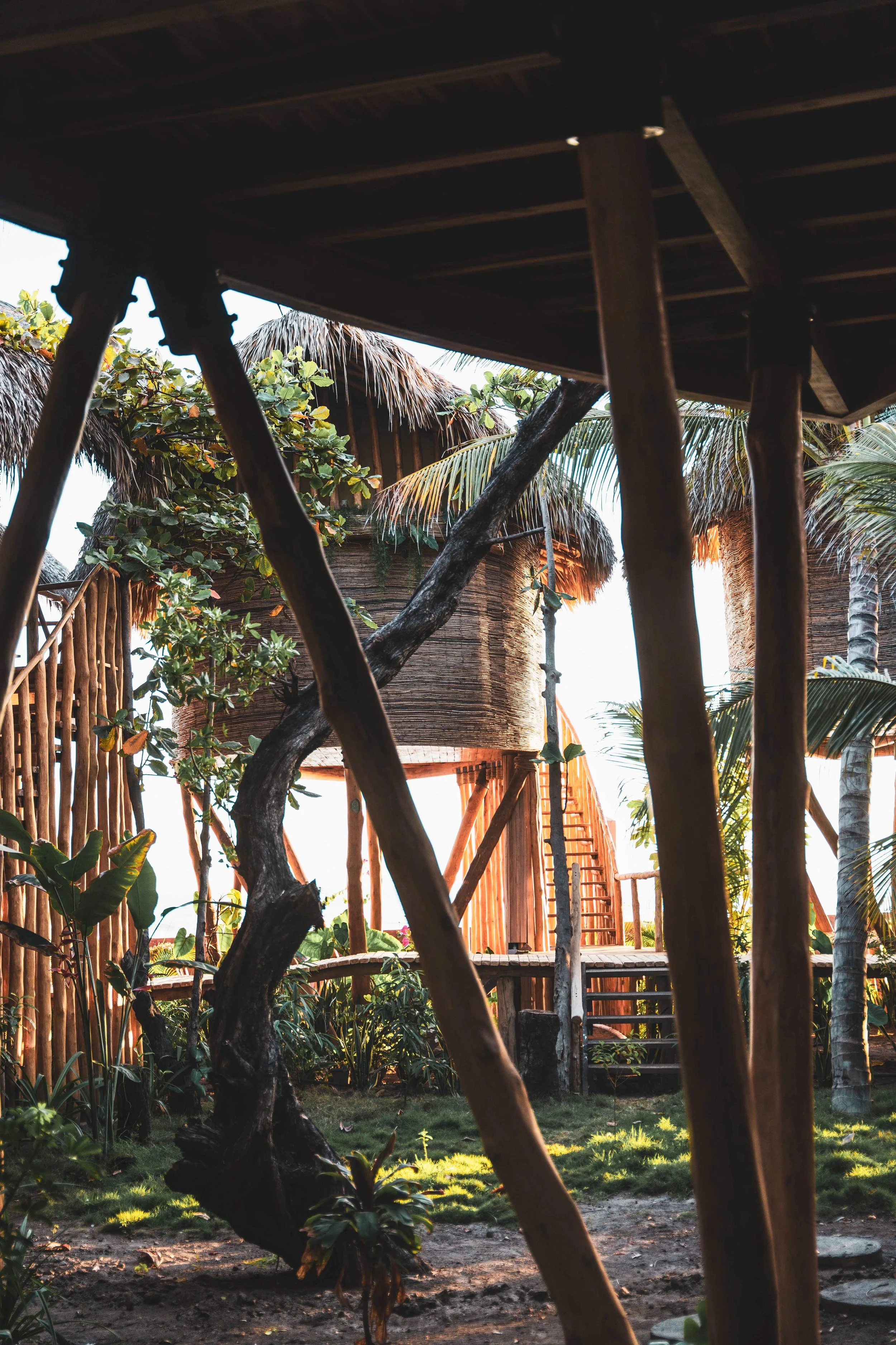 Copy of Copy of DSC09256-TreeHouse-Garden-Jungle.jpg