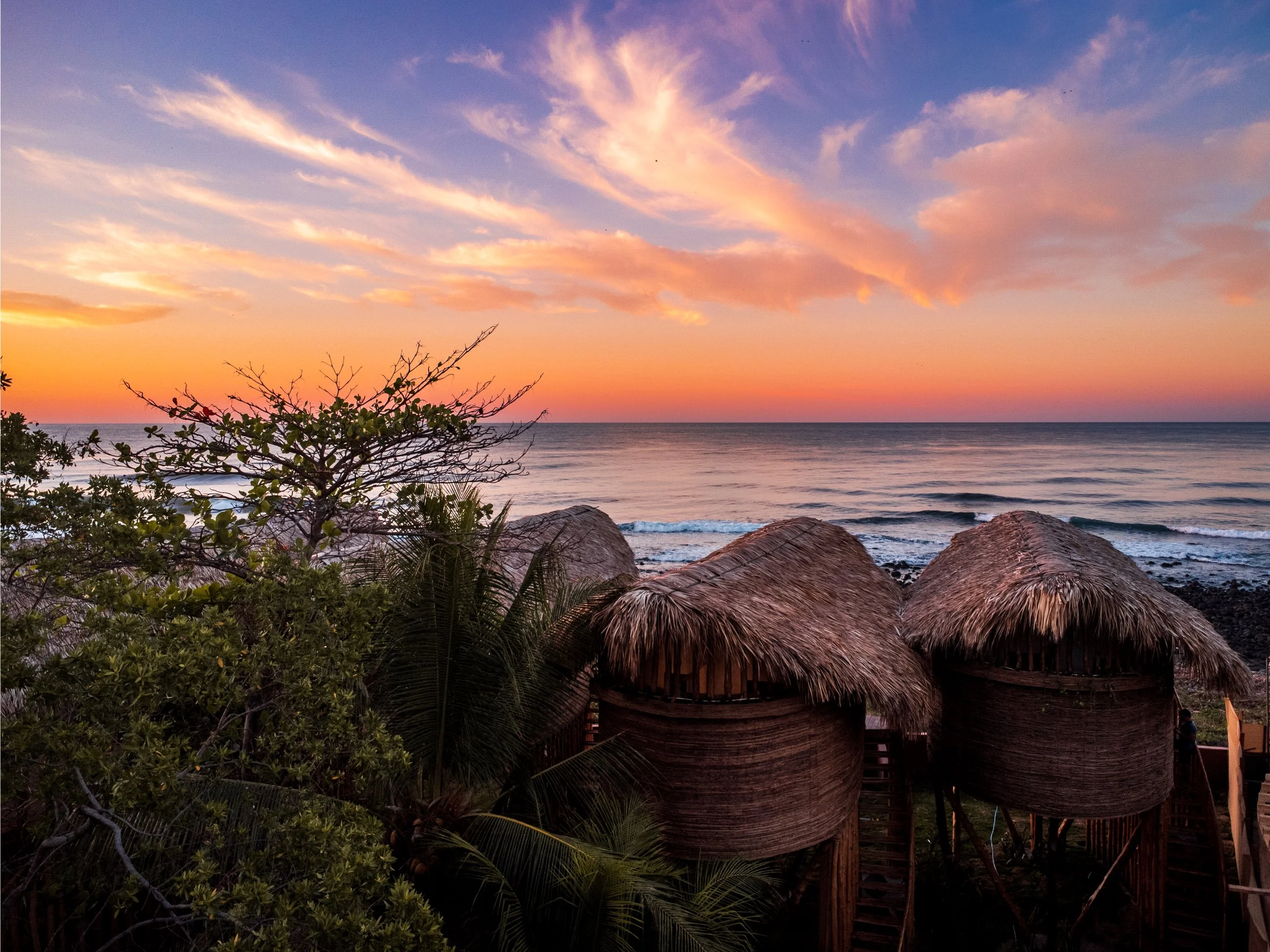 Copy of Copy of DJI_0295-HDR-TreeHouse-Jungle-Garden.jpg