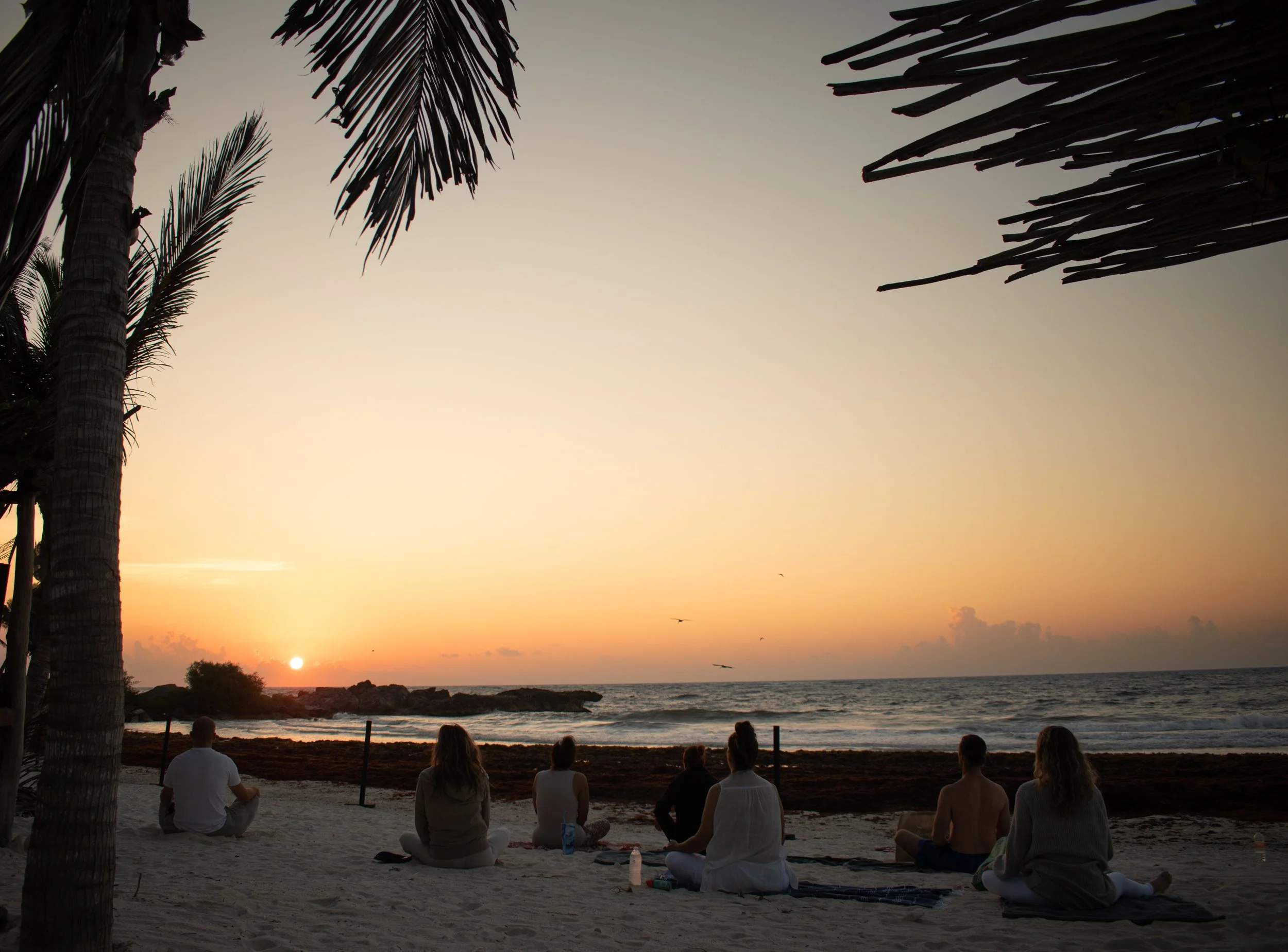 People sitting on the beach at sunset, with the ocean, rocks, and a few birds in the sky.