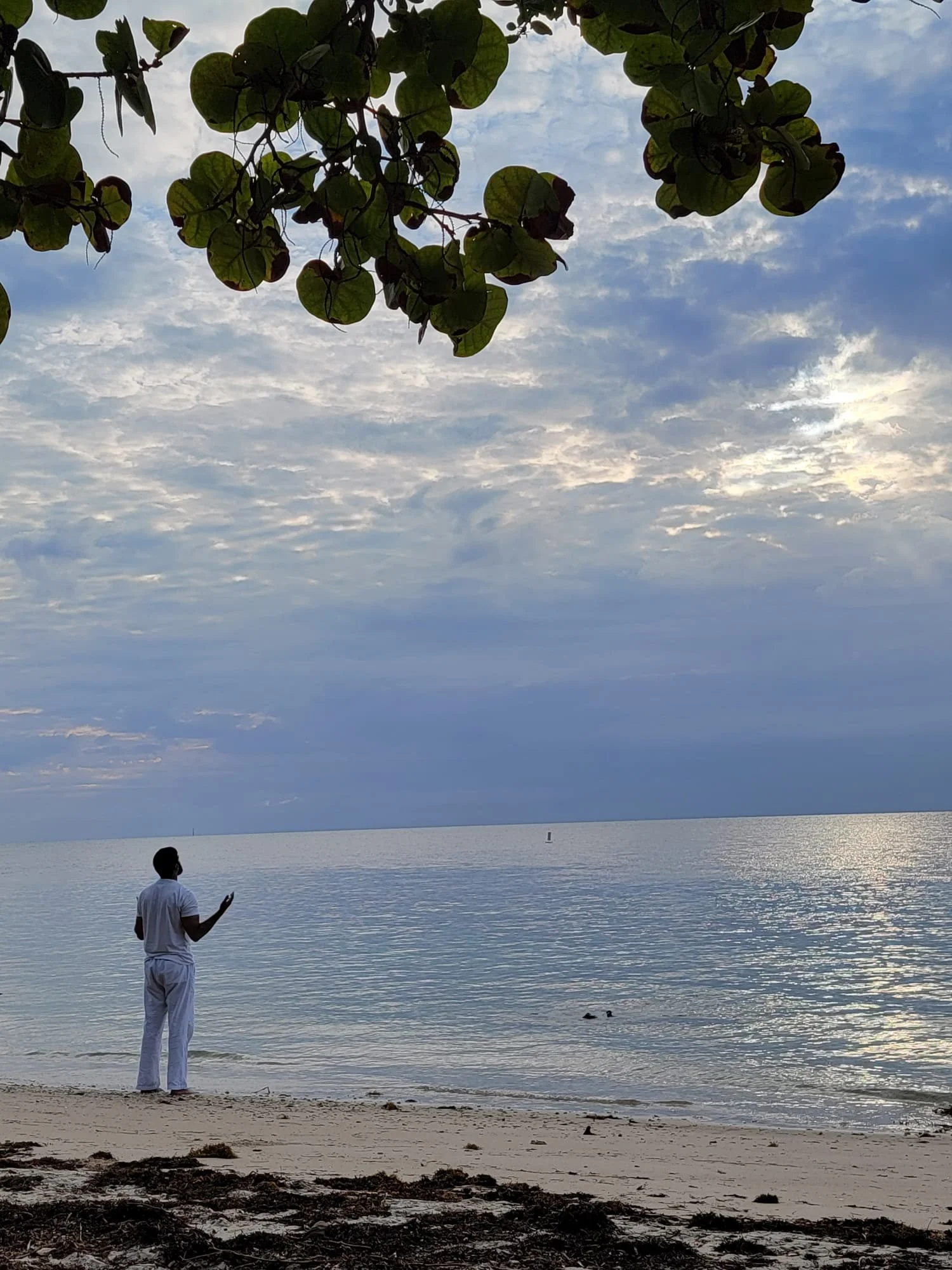 A person dressed in white pants and shirt standing on a beach, facing the water, with leaves and branches overhead and a cloudy sky reflected in the sea.