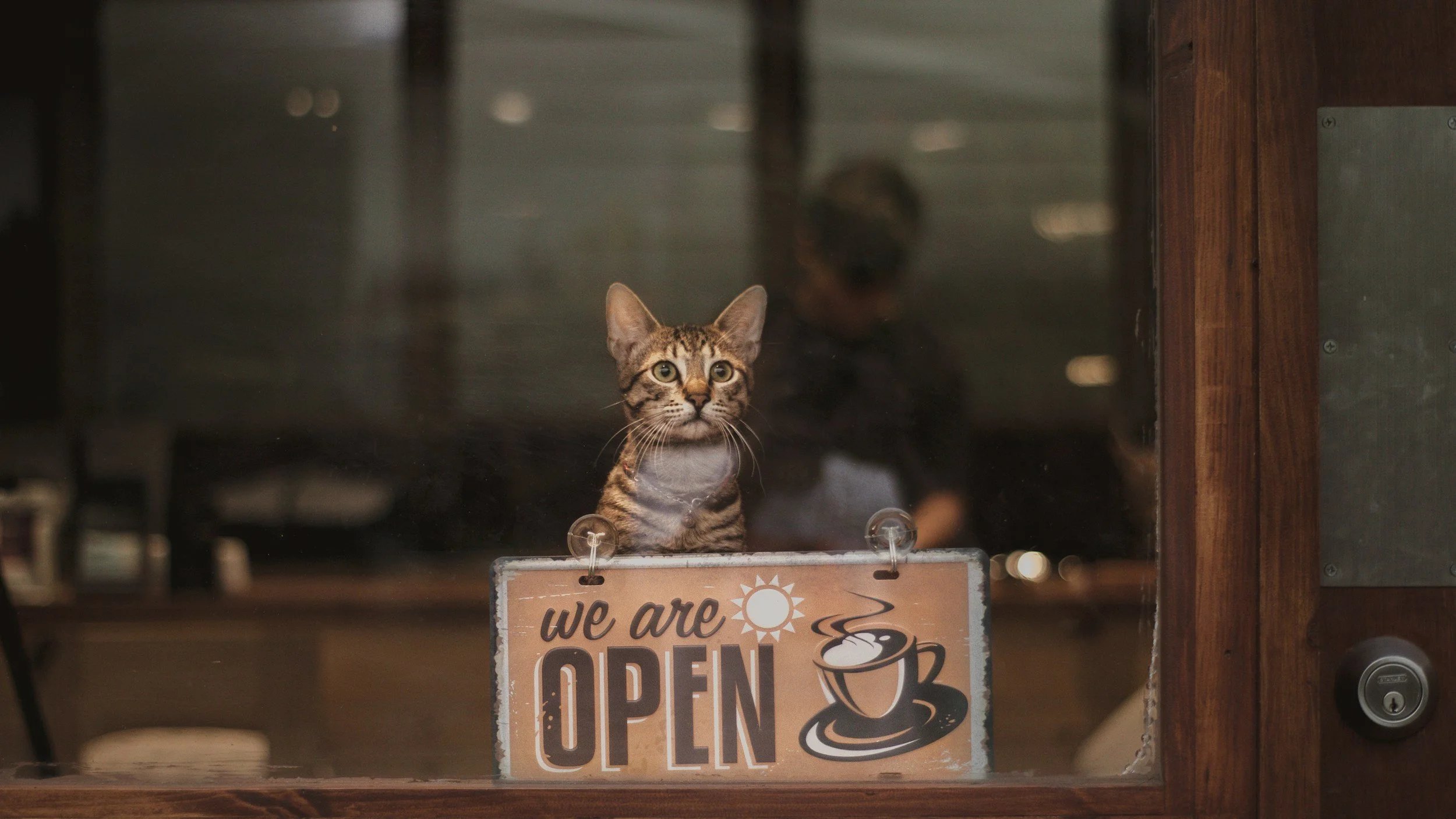 Cat holding open sign