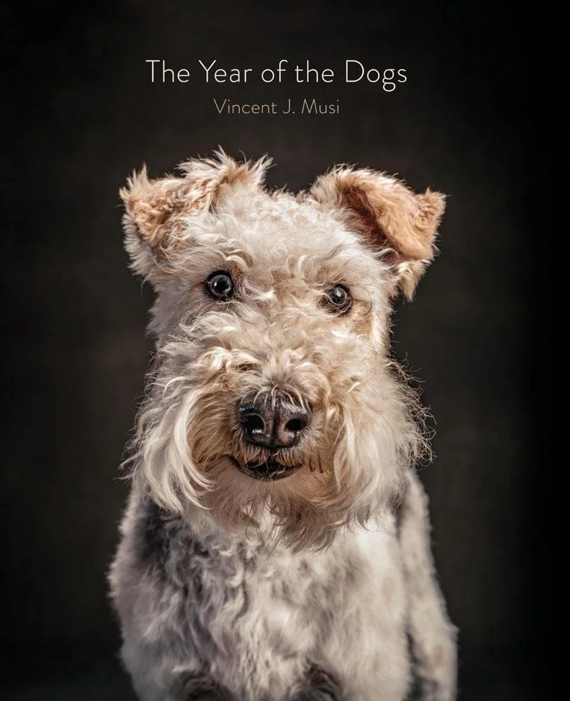 Year of the Dogs Book