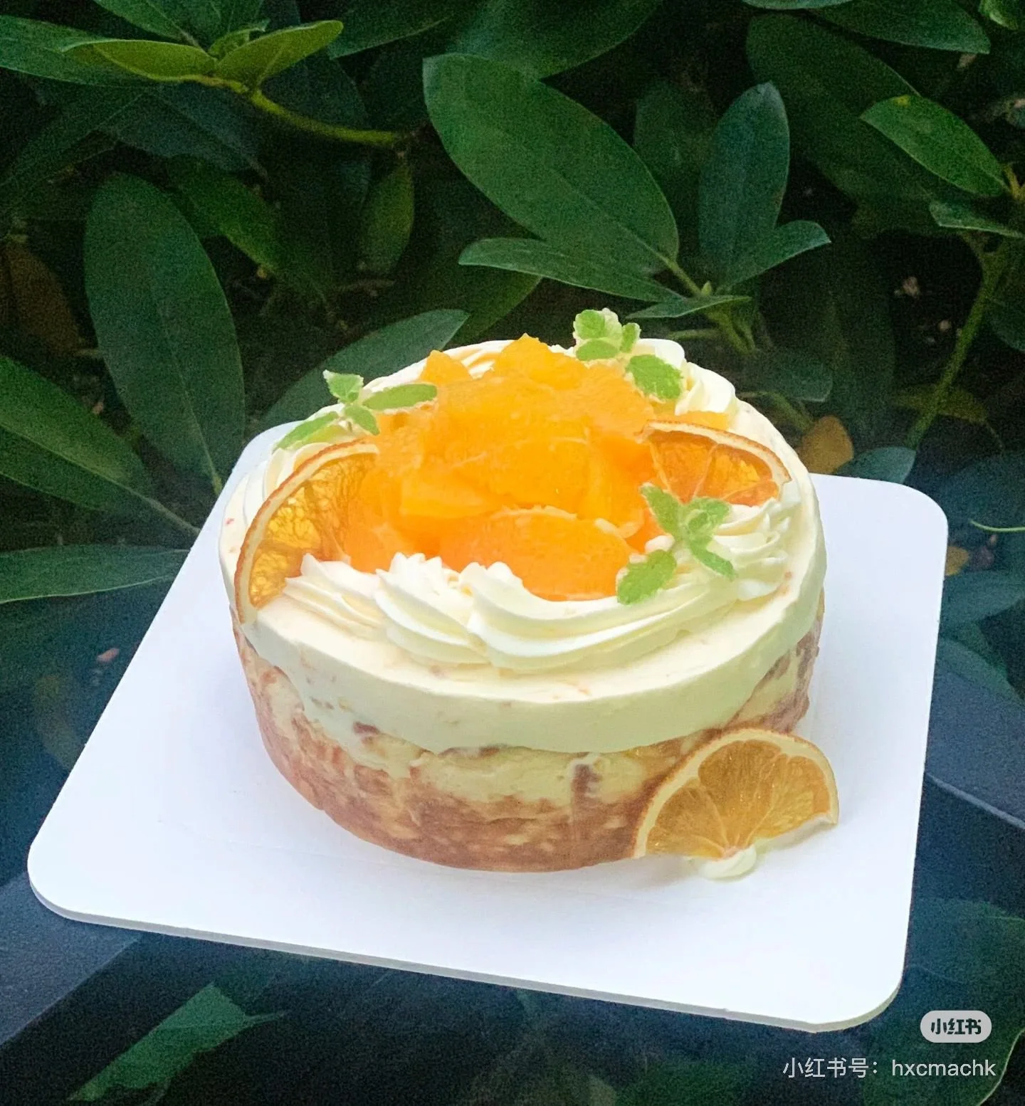 Vanille Basque Käsekuchen mit Orangecreme & firschen Orange