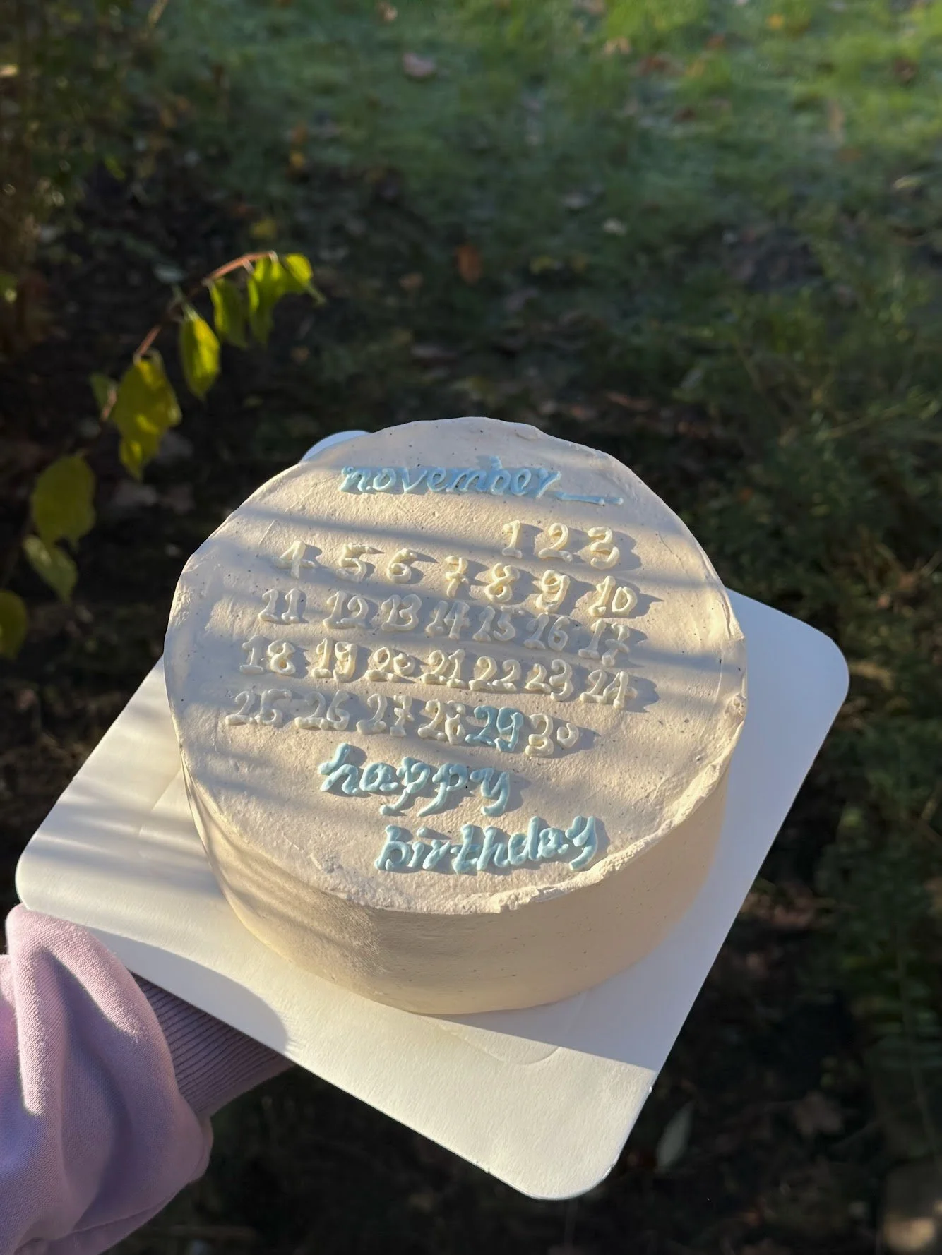 A round birthday cake with white frosting, decorated with pastel blue and white writing, reading 'November 23, Happy birthday.' The cake is being held outdoors with greenery in the background.