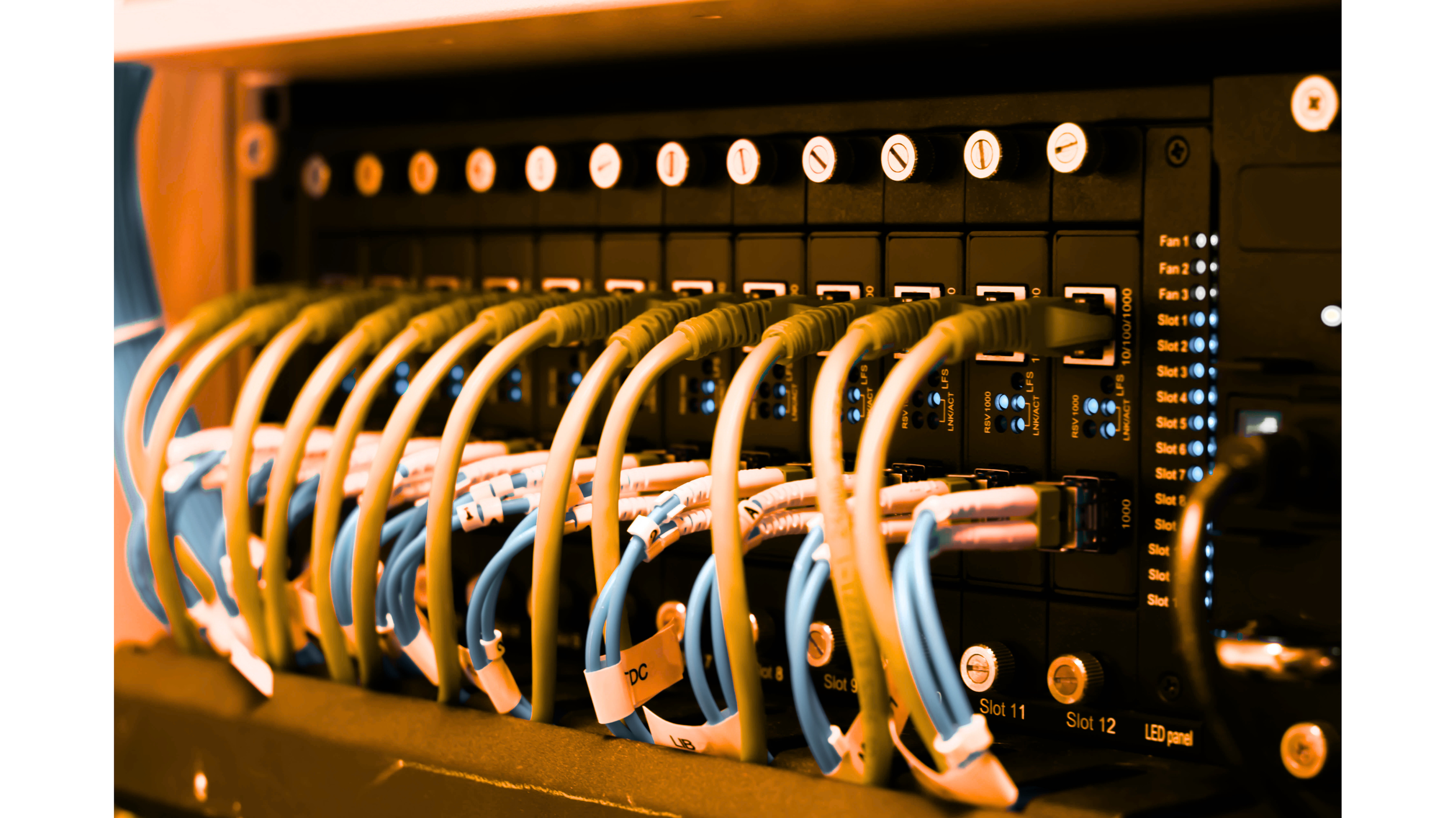 Close-up of a network server rack with multiple Ethernet cables connected to various ports, illuminated with blue LED indicators.