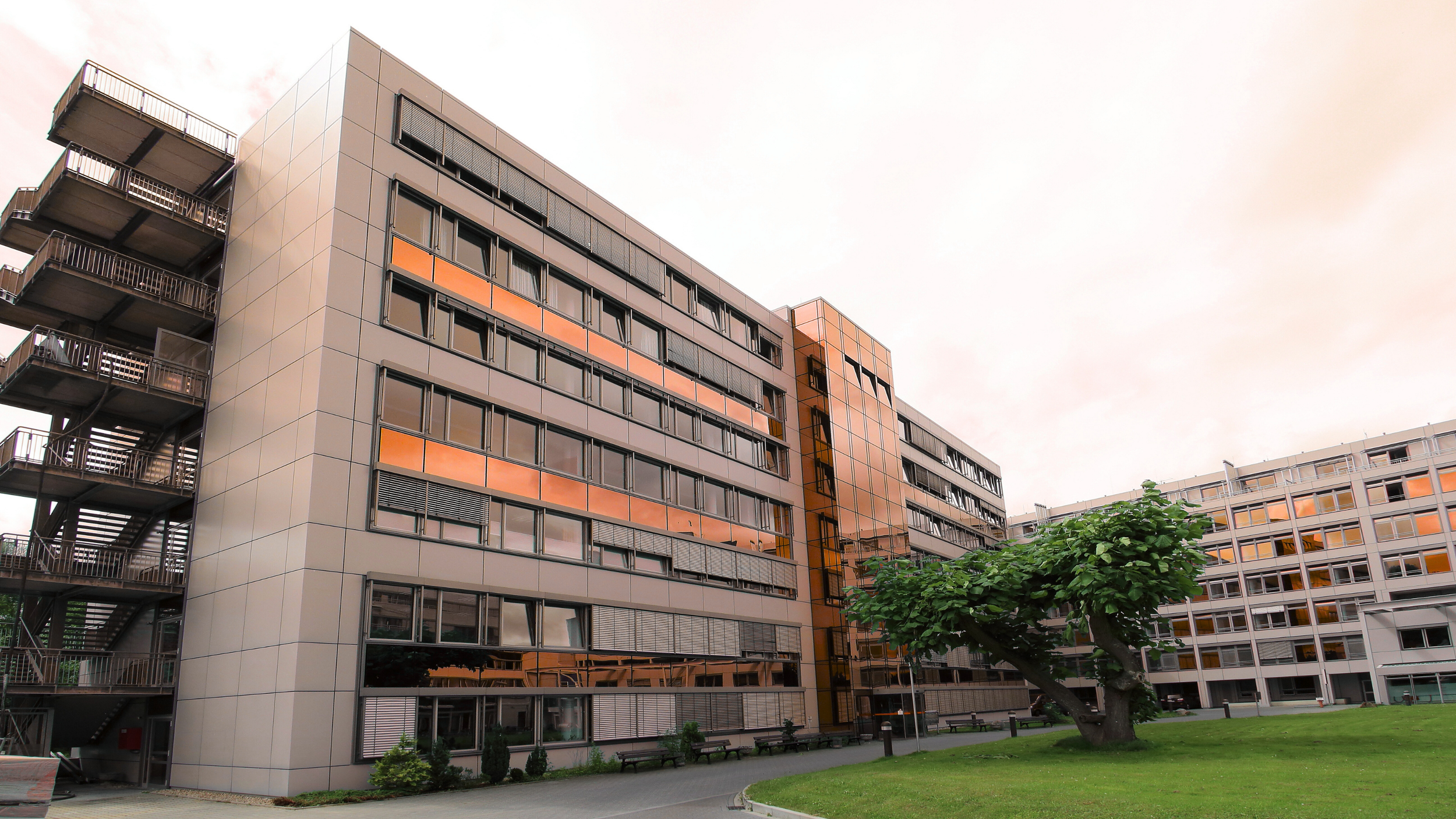 Modern residential apartment buildings with reflective windows and an outdoor courtyard with a tree and benches.