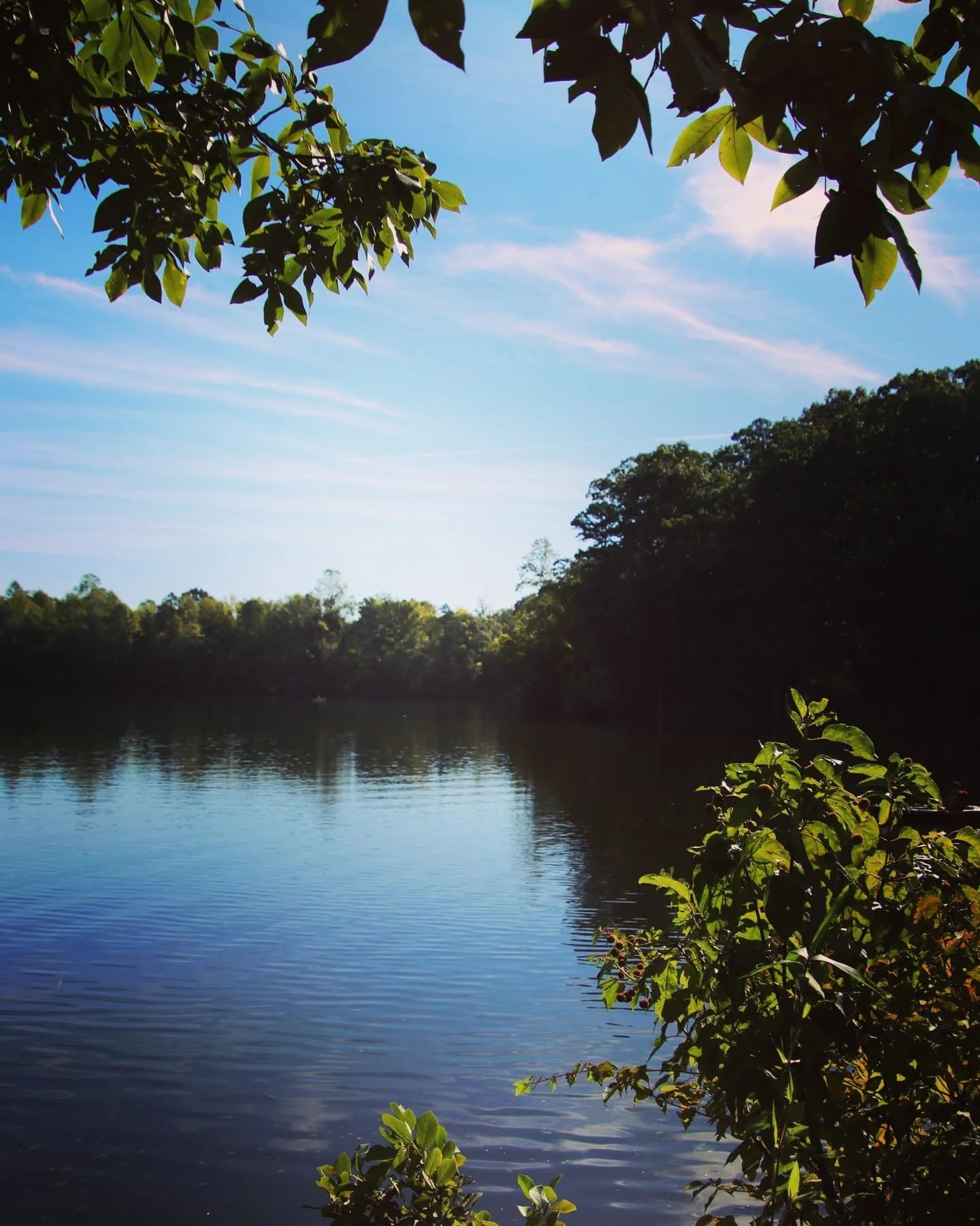#nature #naturephotography #hiking #hikingadventures #NC #parks #lake #happy #park #parks #outdoors #outdooradventures #photography #naturelover #landscapes #natureshots #dreaminginsnapshots #nature_seekers #beautiful #beautifulday
