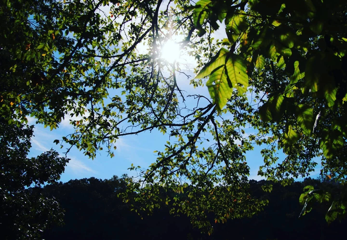 #nature #naturephotography #hiking #hikingadventures #NC #parks #sunshine #happy #park #parks #outdoors #outdooradventures #photography #naturelover #landscapes #natureshots #dreaminginsnapshots #nature_seekers #beautiful #beautifulday
