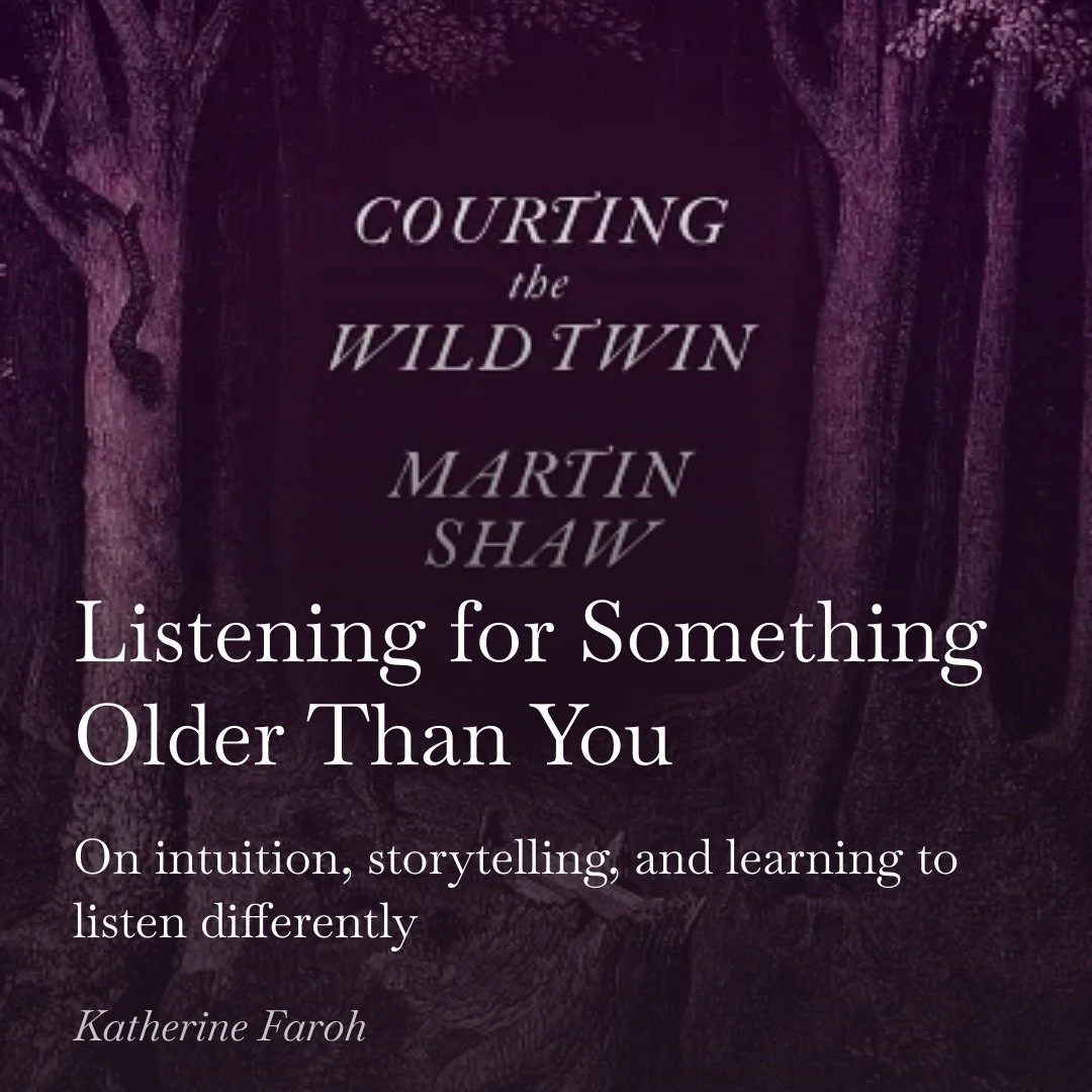 I wasn&rsquo;t looking for anything in particular when I found this book&hellip;

but something about it felt like it was looking for me.

I&rsquo;ve been reading Courting the Wild Twin by Martin Shaw, and it&rsquo;s been shifting the way I think abo
