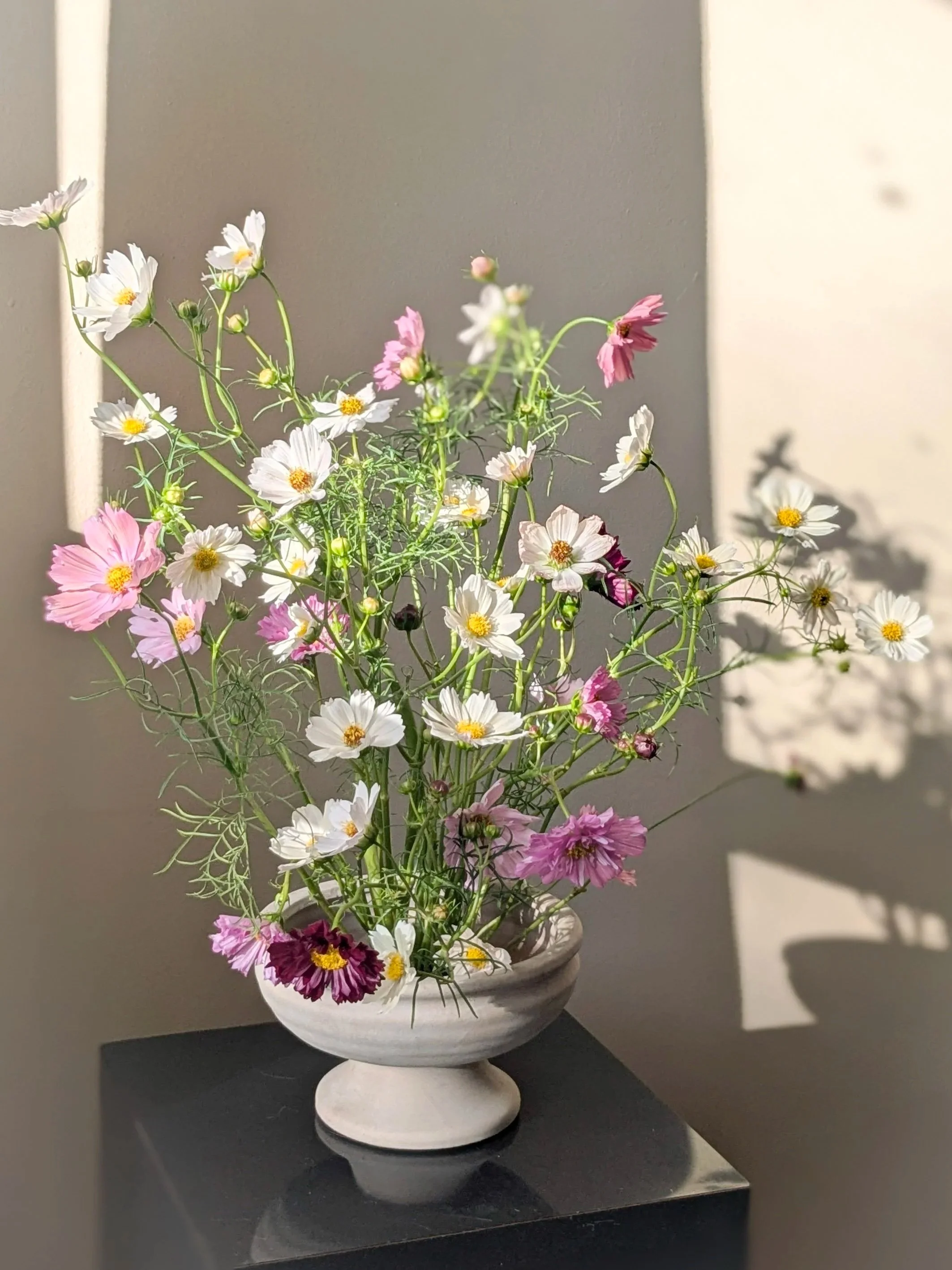 Vase of pink and white flowers on a dark surface, with sunlight casting shadows on the wall behind.