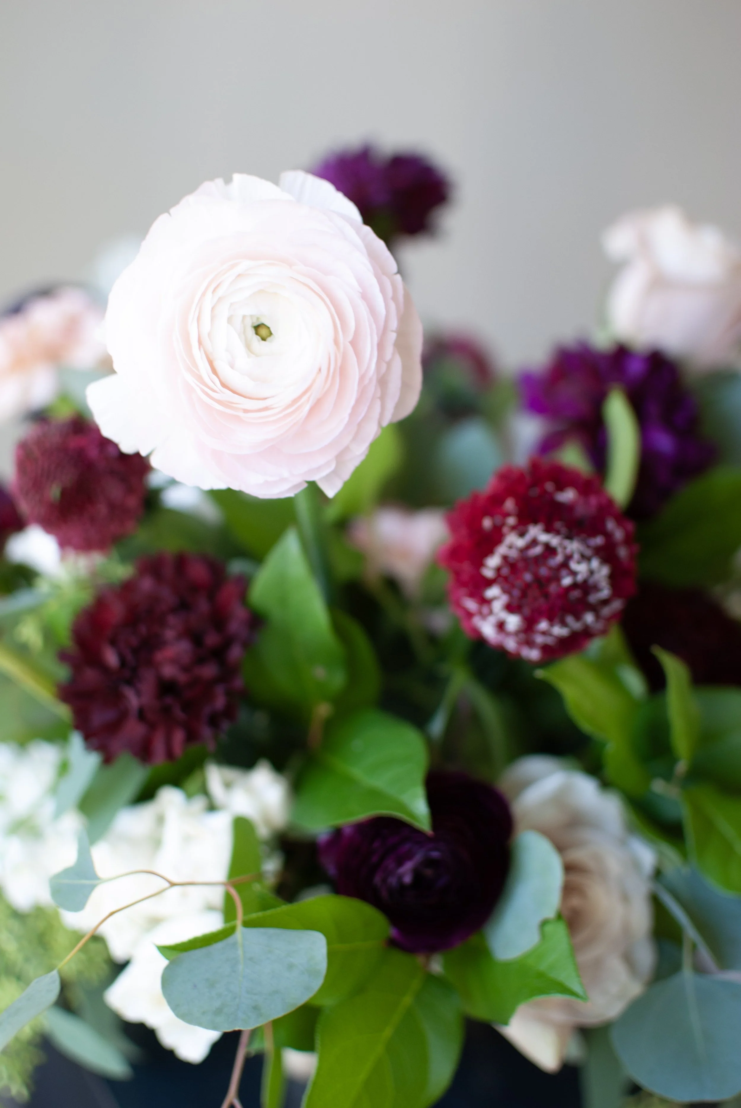 Close-up of a bouquet of various colored flowers, including pink, purple, and white blooms, with green leaves.