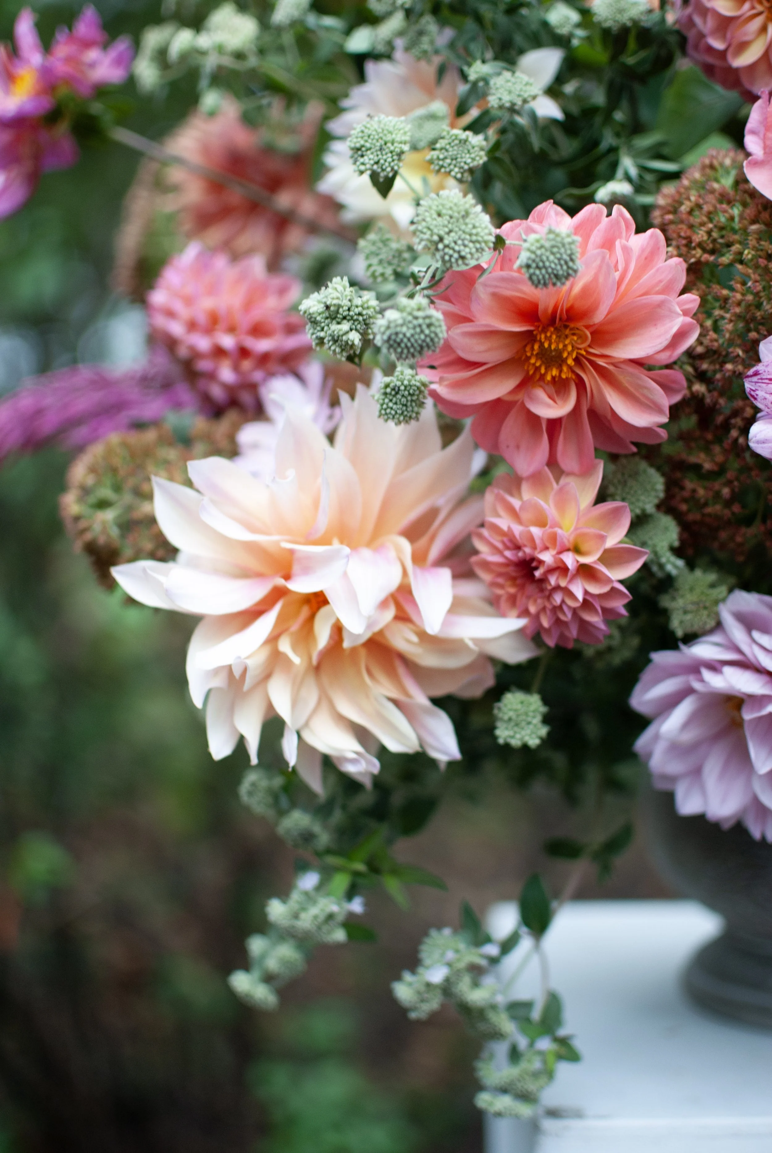 Close-up image of pink, peach, and purple dahlias with green foliage. Designed by St. Louis florist, Suncrest Blooms.