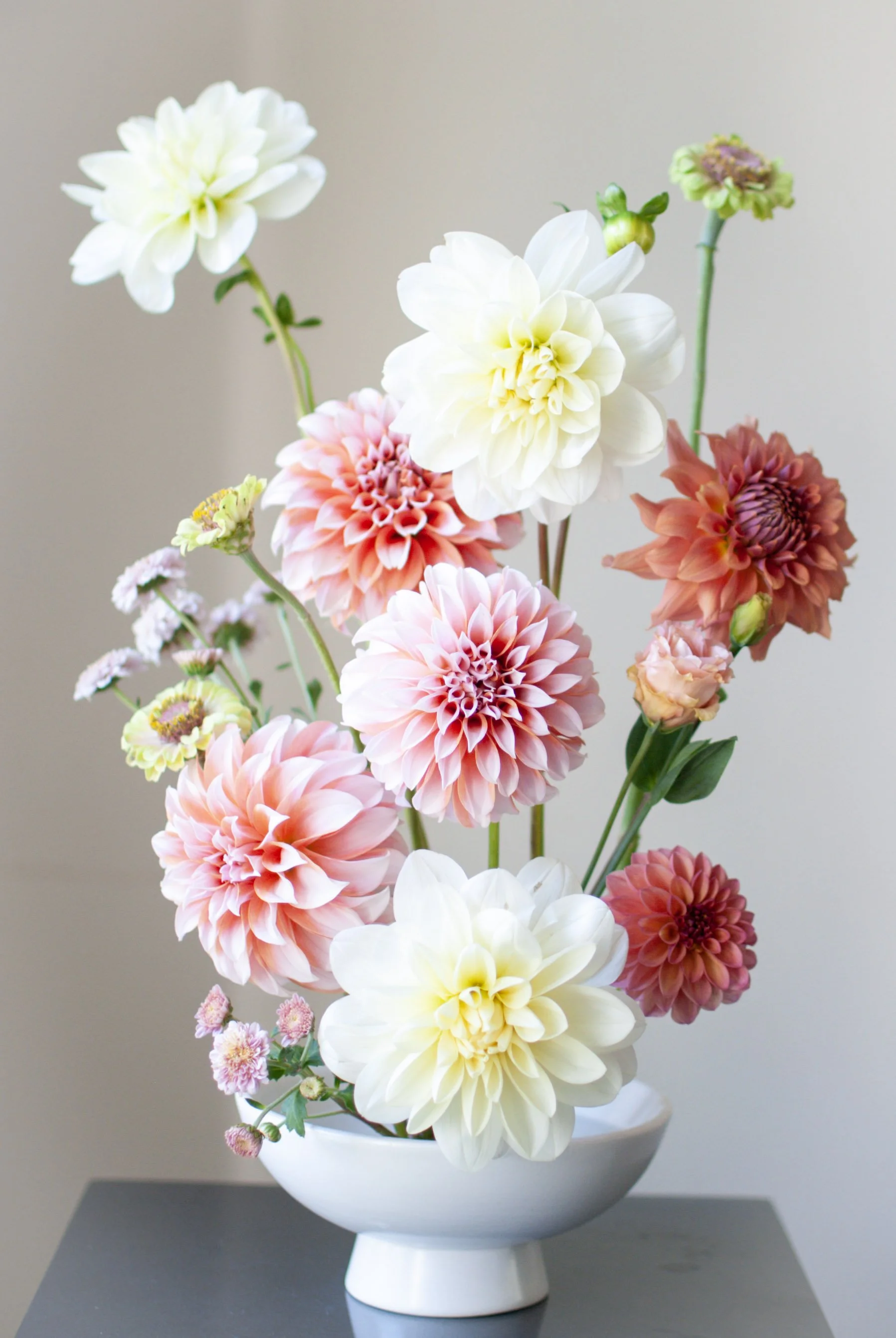 A white ceramic vase filled with an arrangement of large white, pink, and orange dahlias, with some smaller flowers, placed on a dark gray surface against a plain beige background.