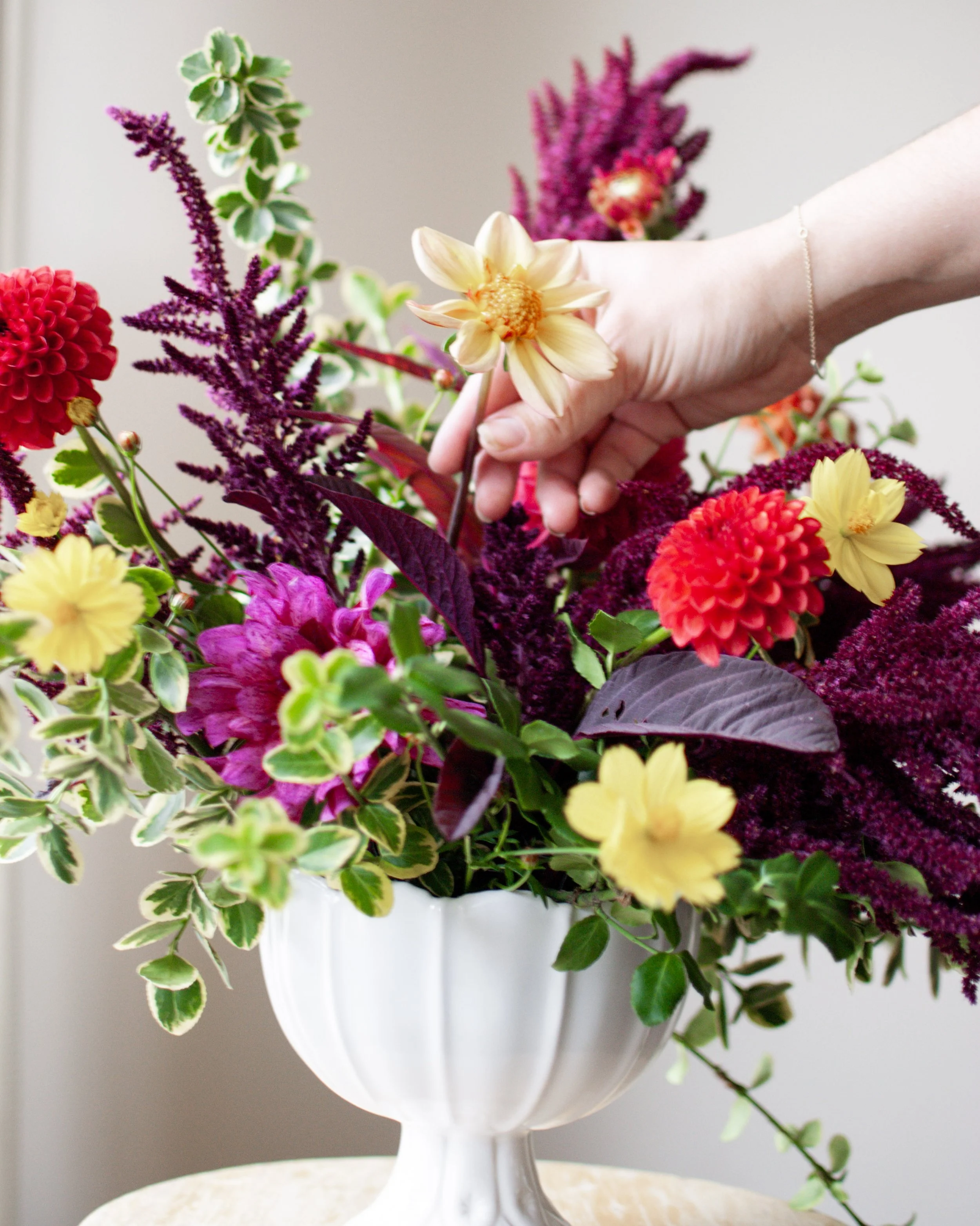 A person arranging a colorful bouquet of flowers in a white vase, including yellow, red, pink, and purple blooms with green and purple foliage. Designed by garden-style wedding florist in St. Louis, Suncrest Blooms.